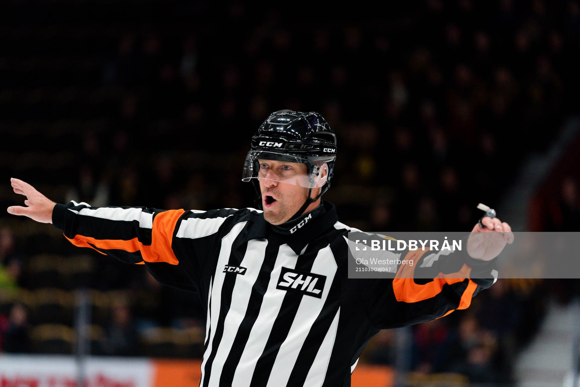 Domare Sören Persson