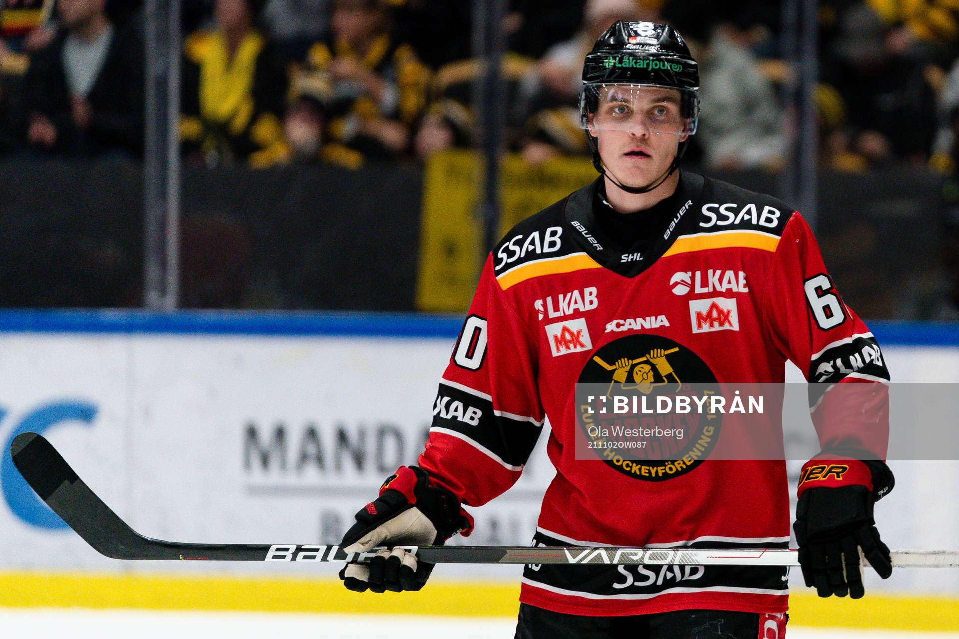 Luleås Julius Honka