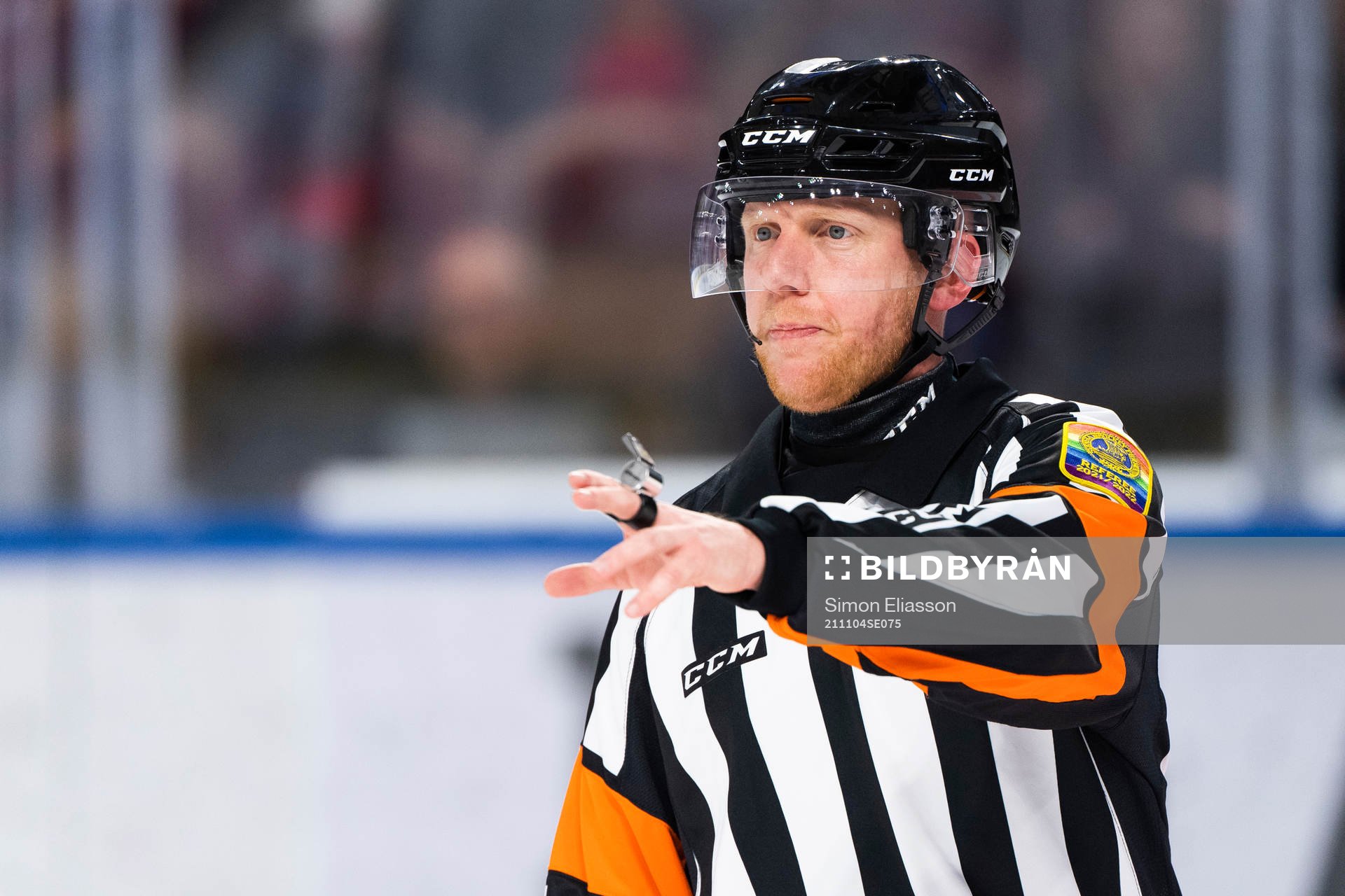 Domare Mikael Holm