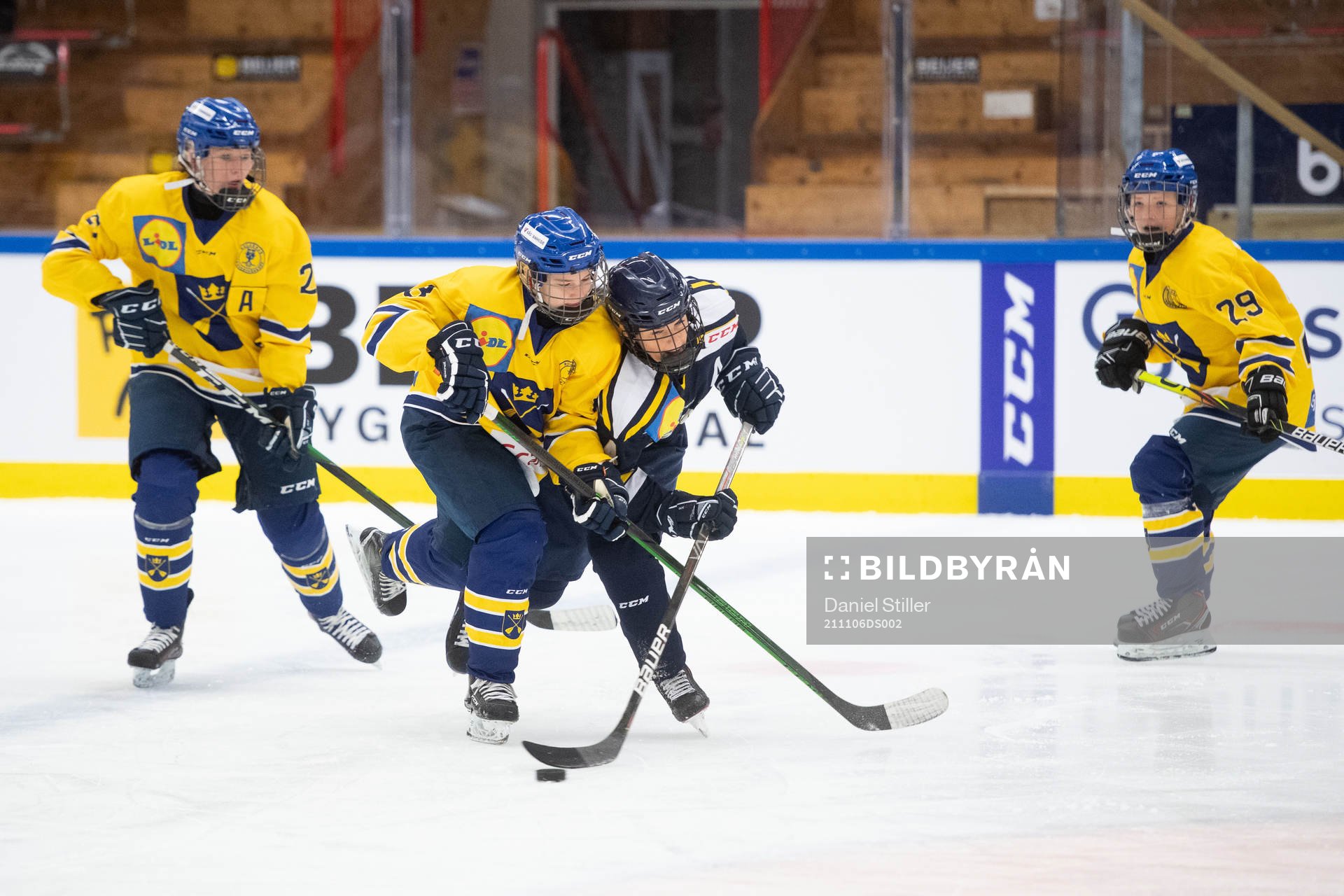 Dalarnas Tilde Sundnäs Grillfors och Ångermalands Mira