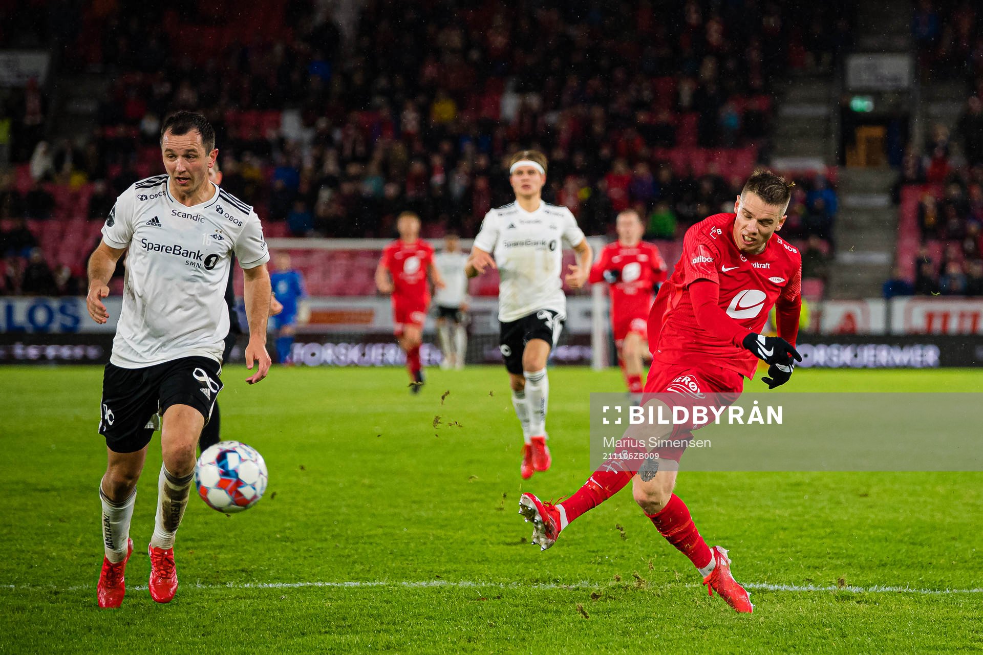 Robert Thomas Taylor of Brann