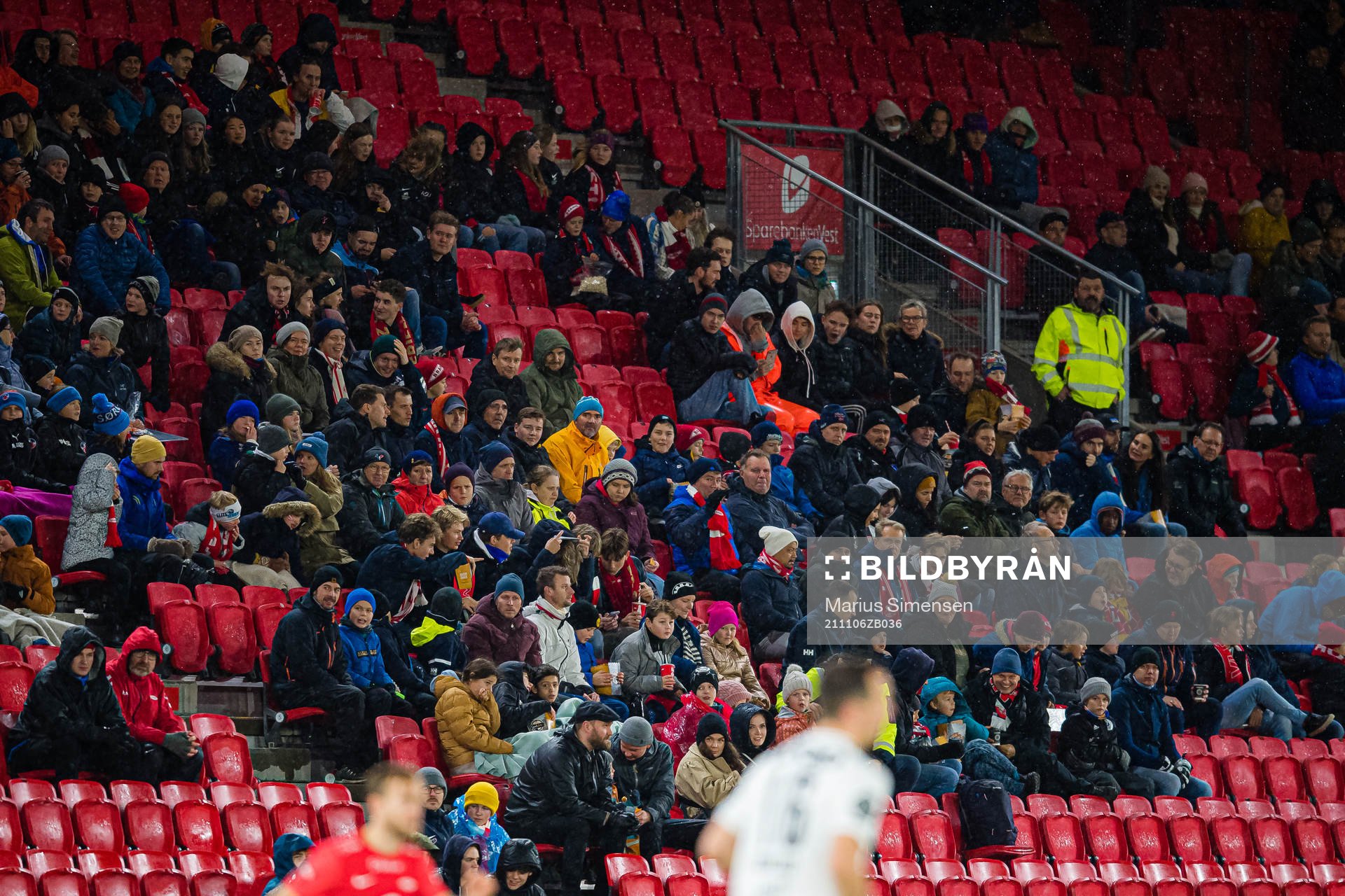 Spectators in the stands