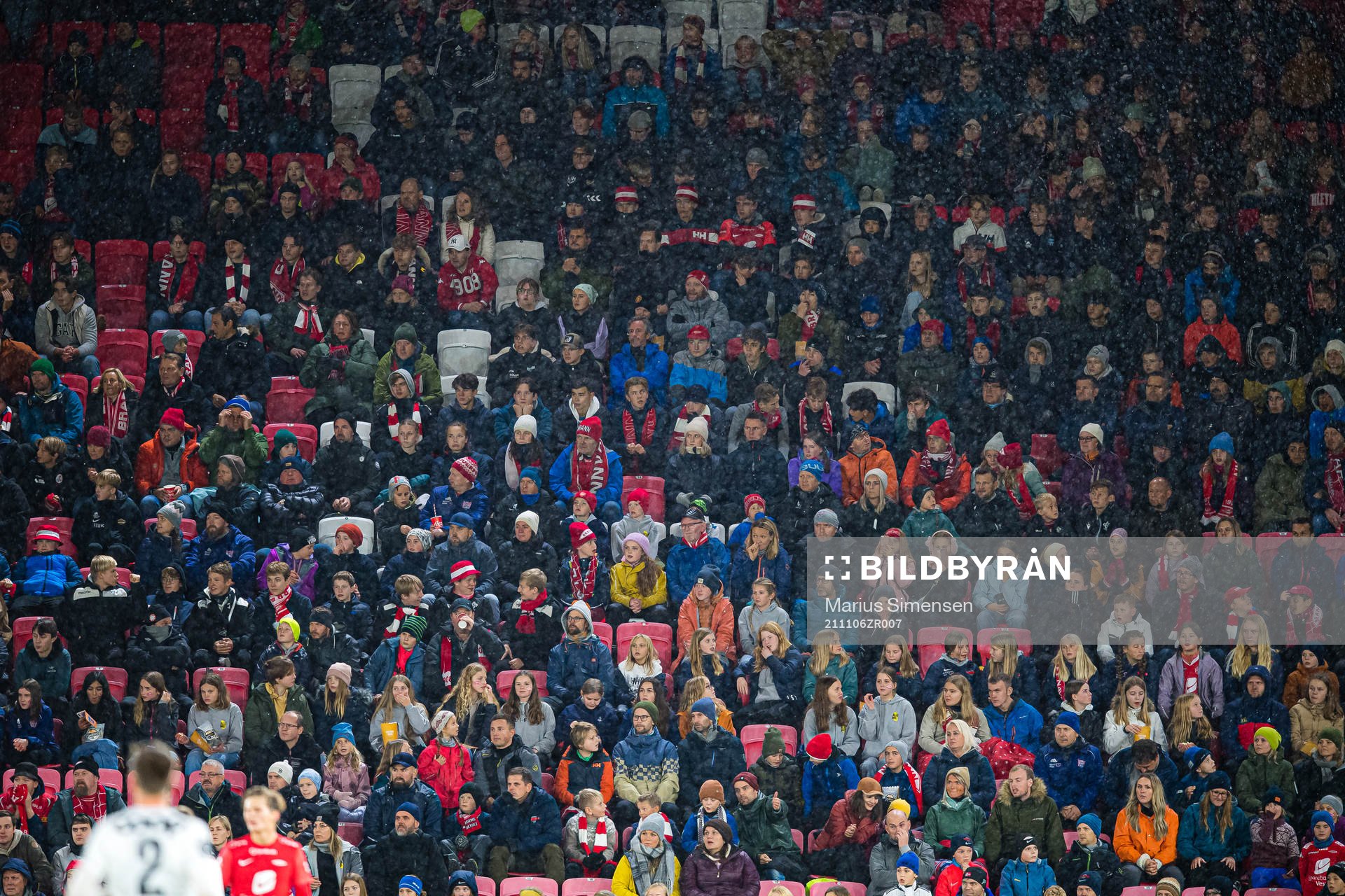 Spectators in the stands