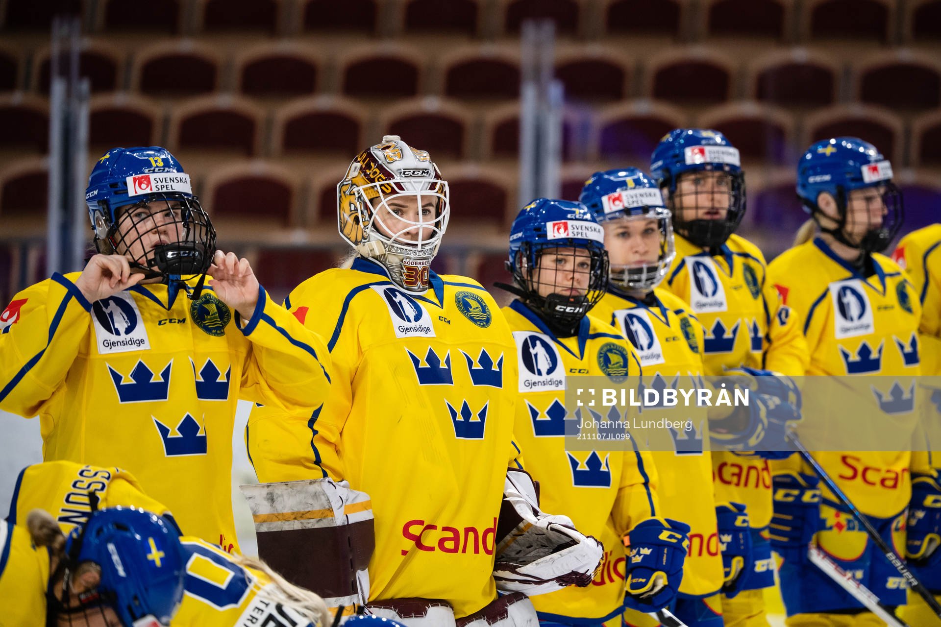 Players of Sweden
