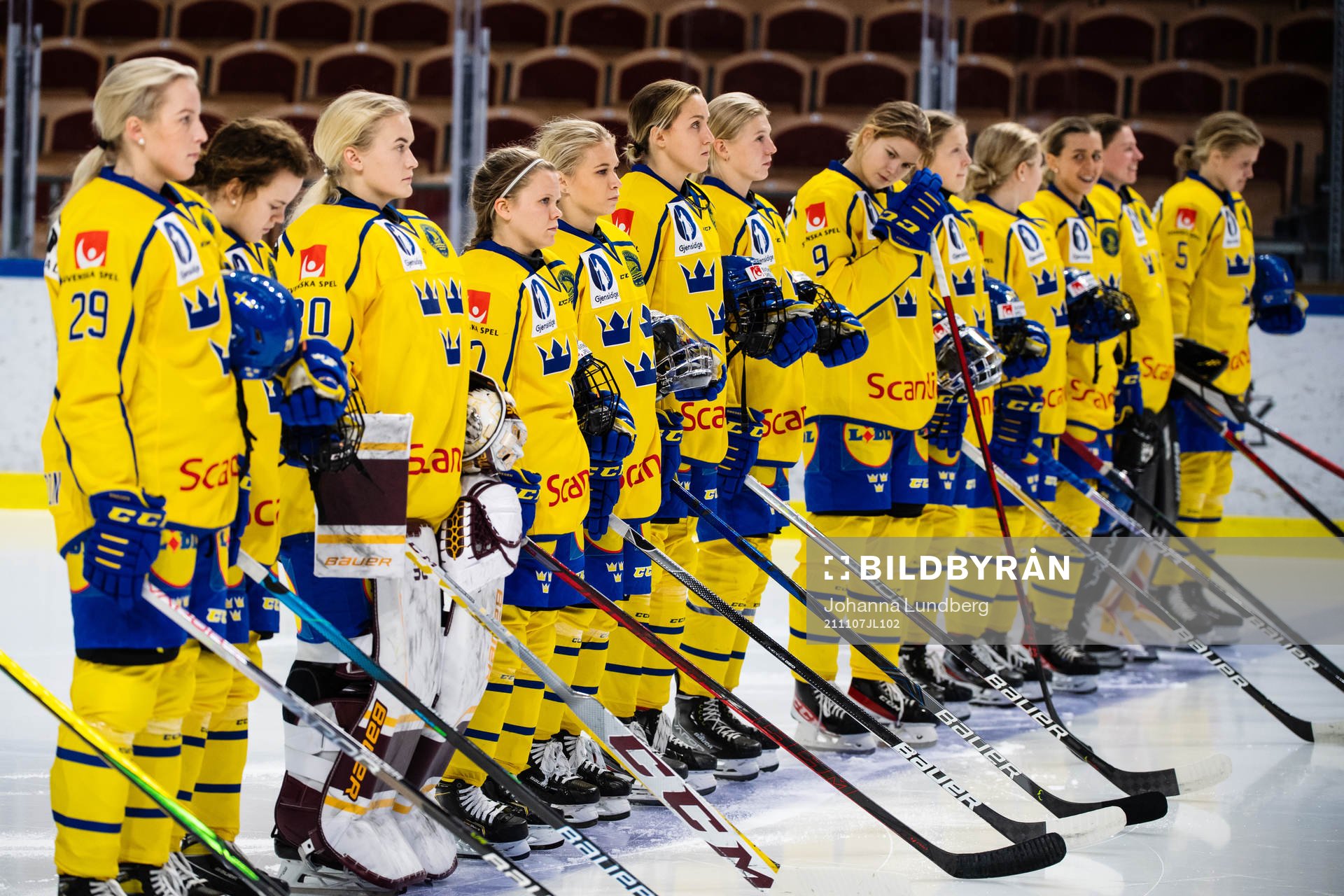 Players of Sweden