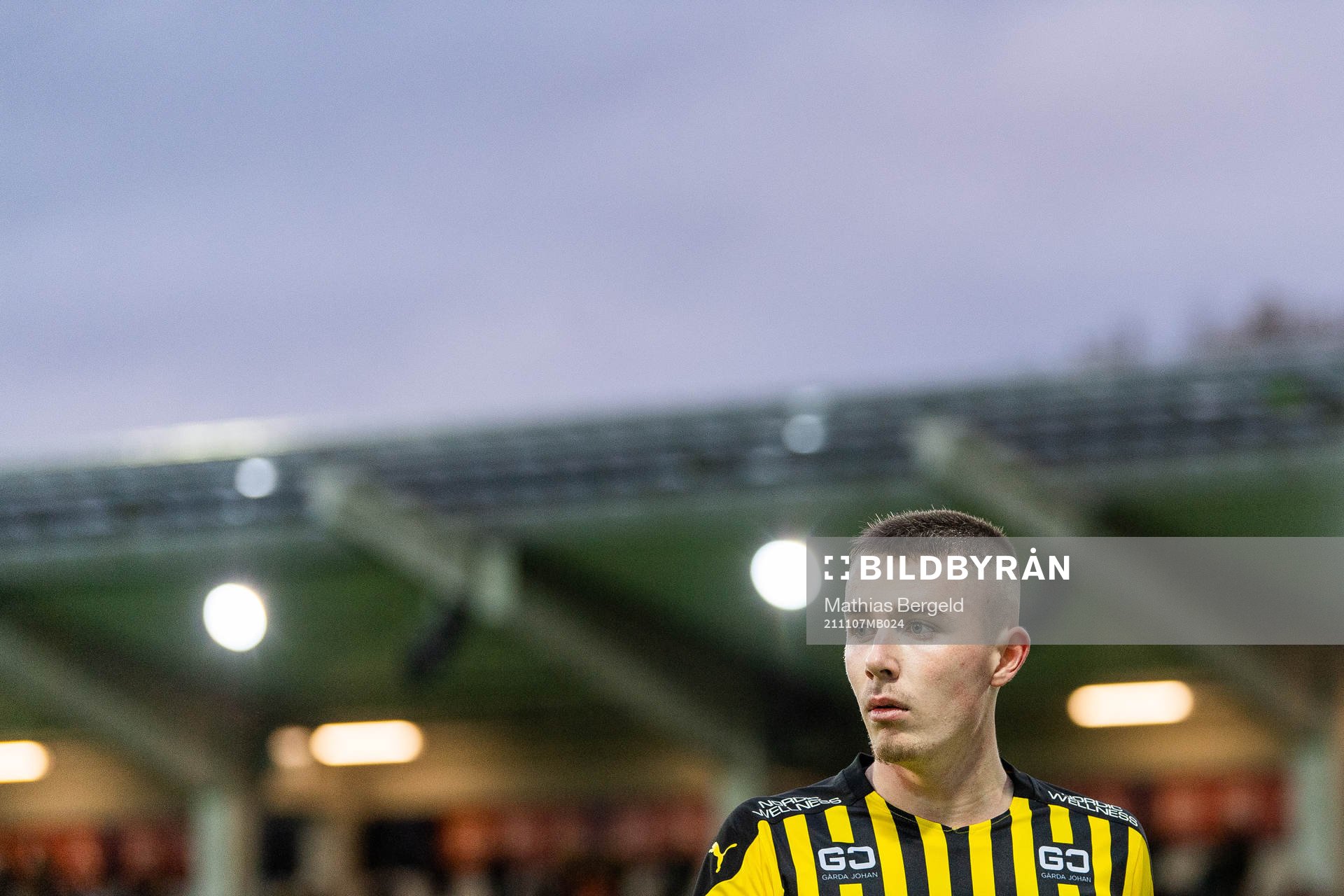 Häckens Patrik Wålemark