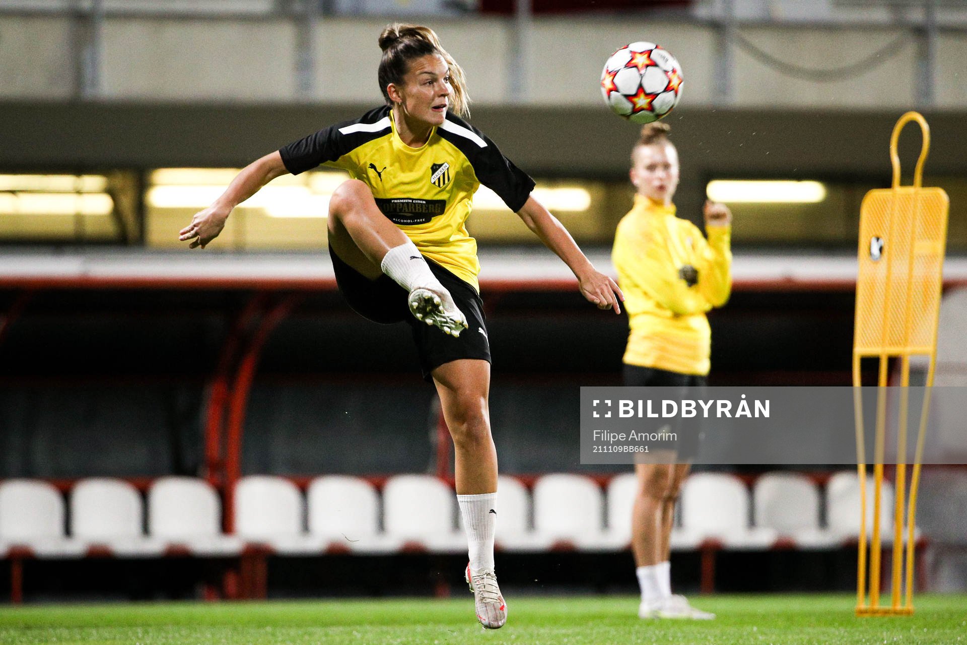 Johanna Rytting Kaneryd