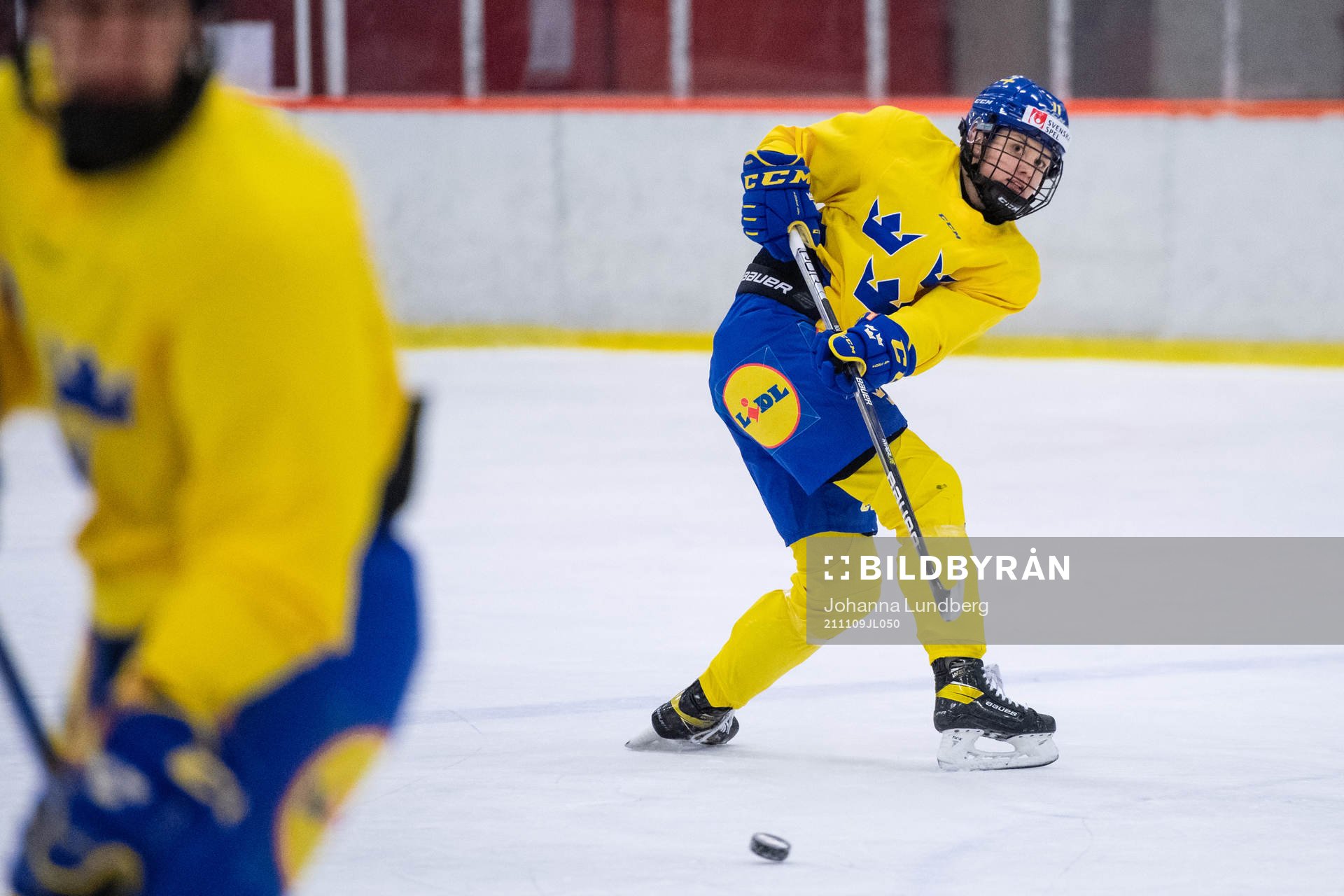 Josefin Bouveng
