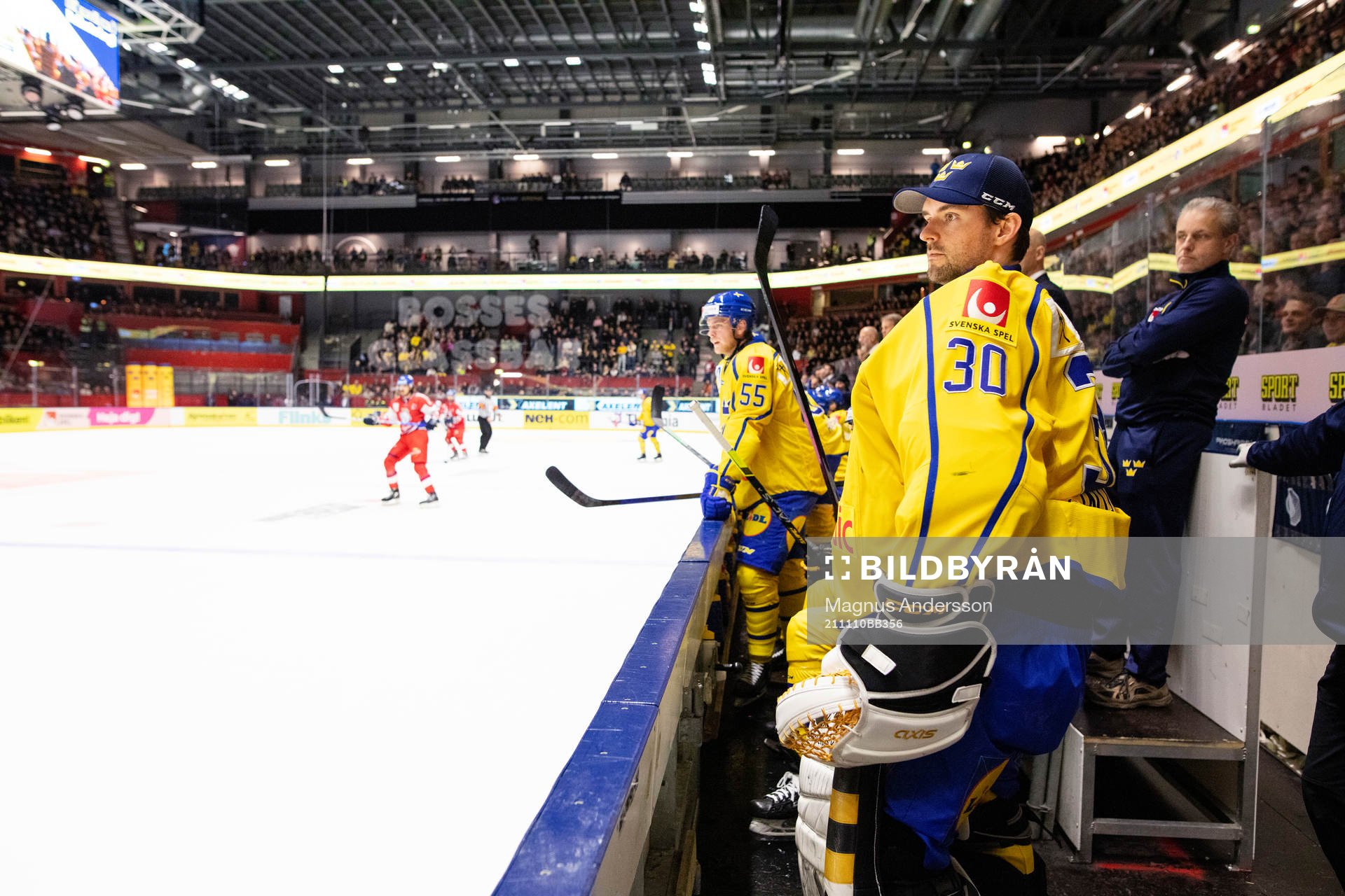 Sveriges målvakt Gustaf Lindvall