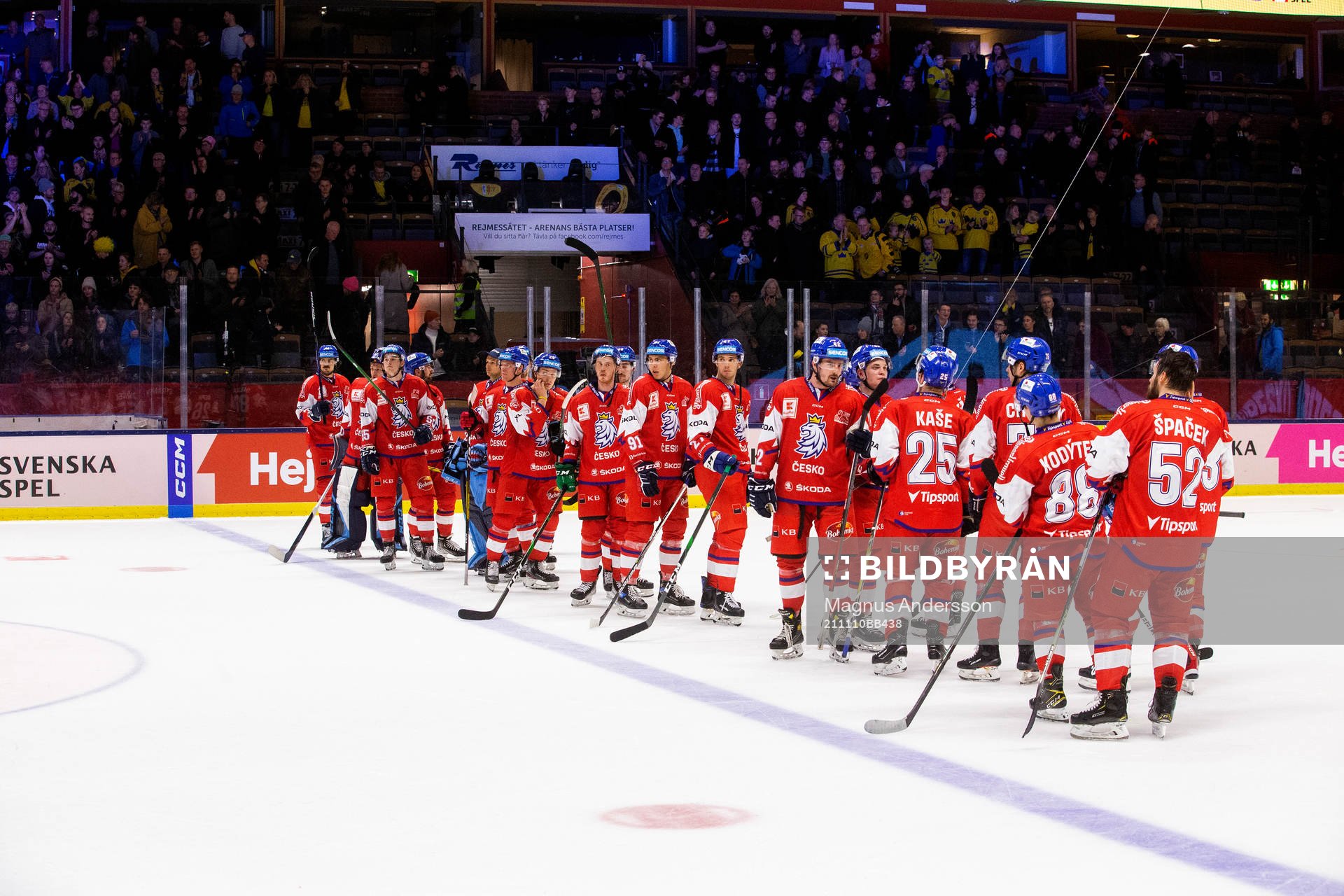 Tjeckiens spelare