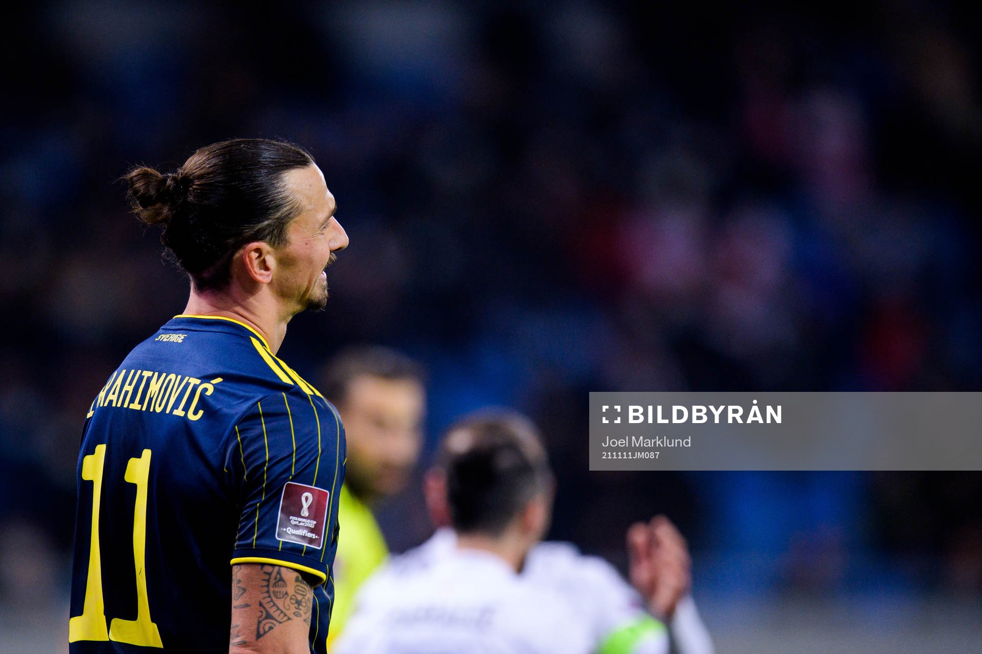 Zlatan Ibrahimovic of Sweden