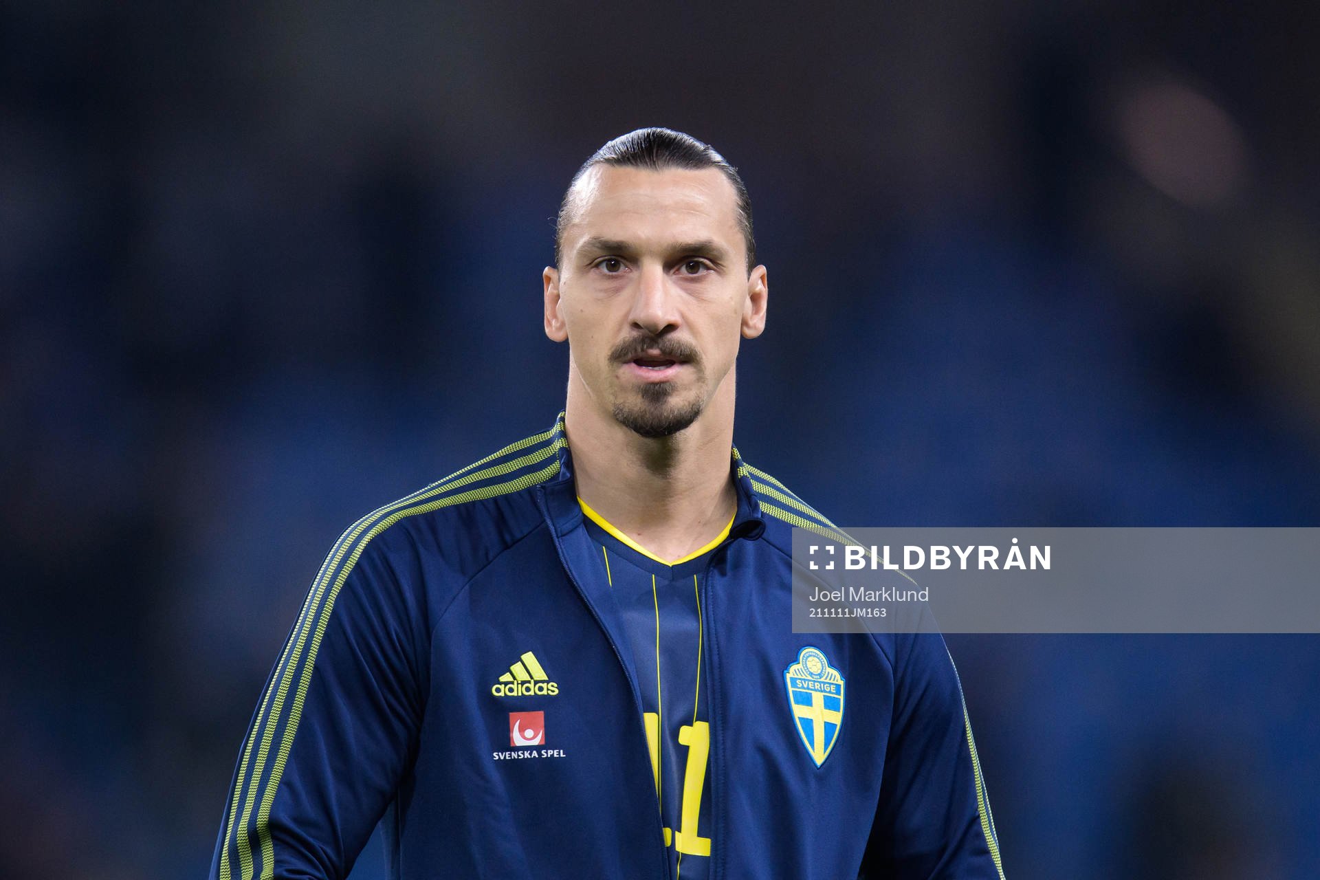 Zlatan Ibrahimovic of Sweden