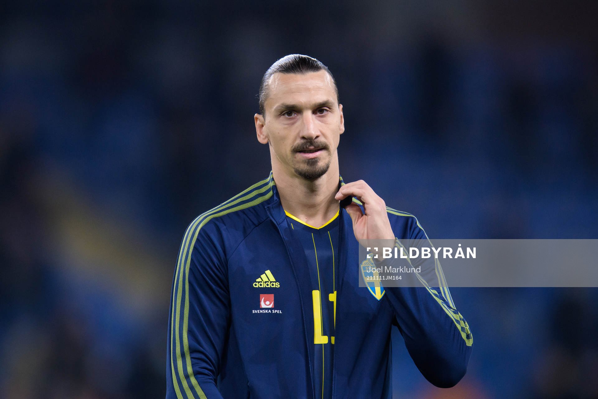 Zlatan Ibrahimovic of Sweden
