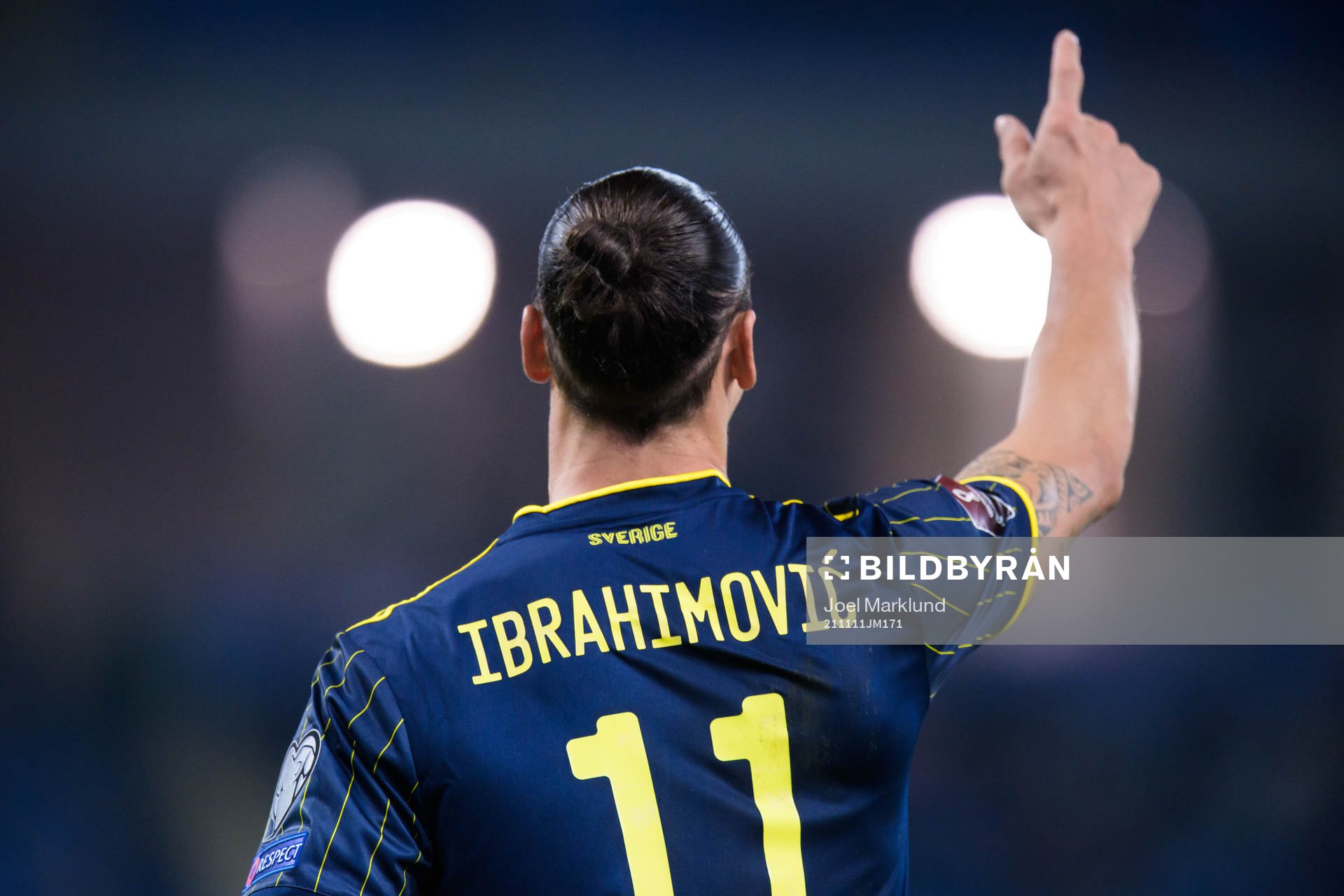 Zlatan Ibrahimovic of Sweden