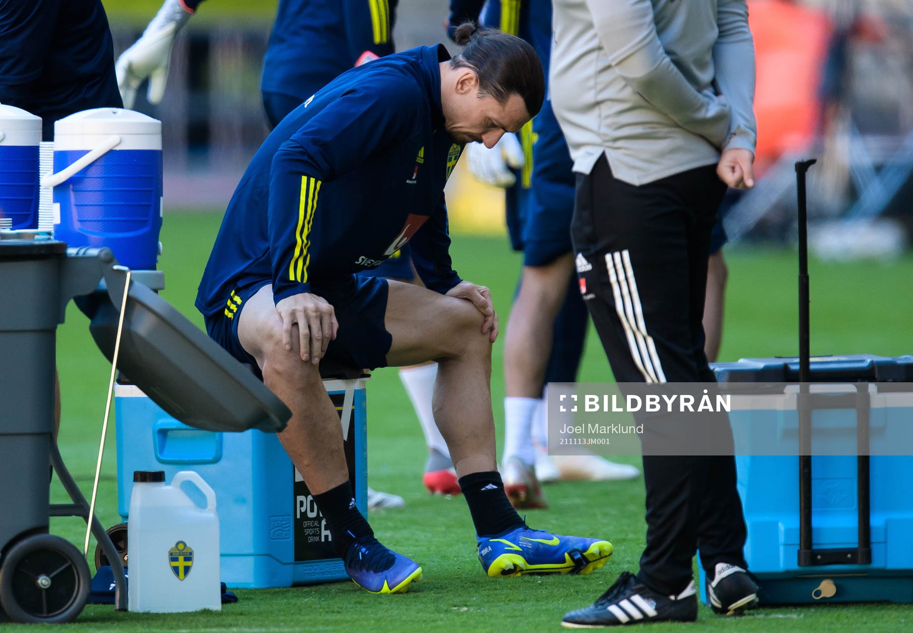 Zlatan Ibrahimovic of the Swedish national football team