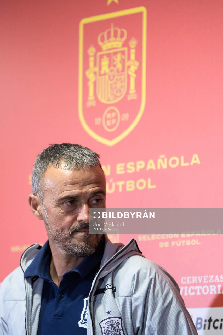 Head coach Luis Enrique of the Spanish national football