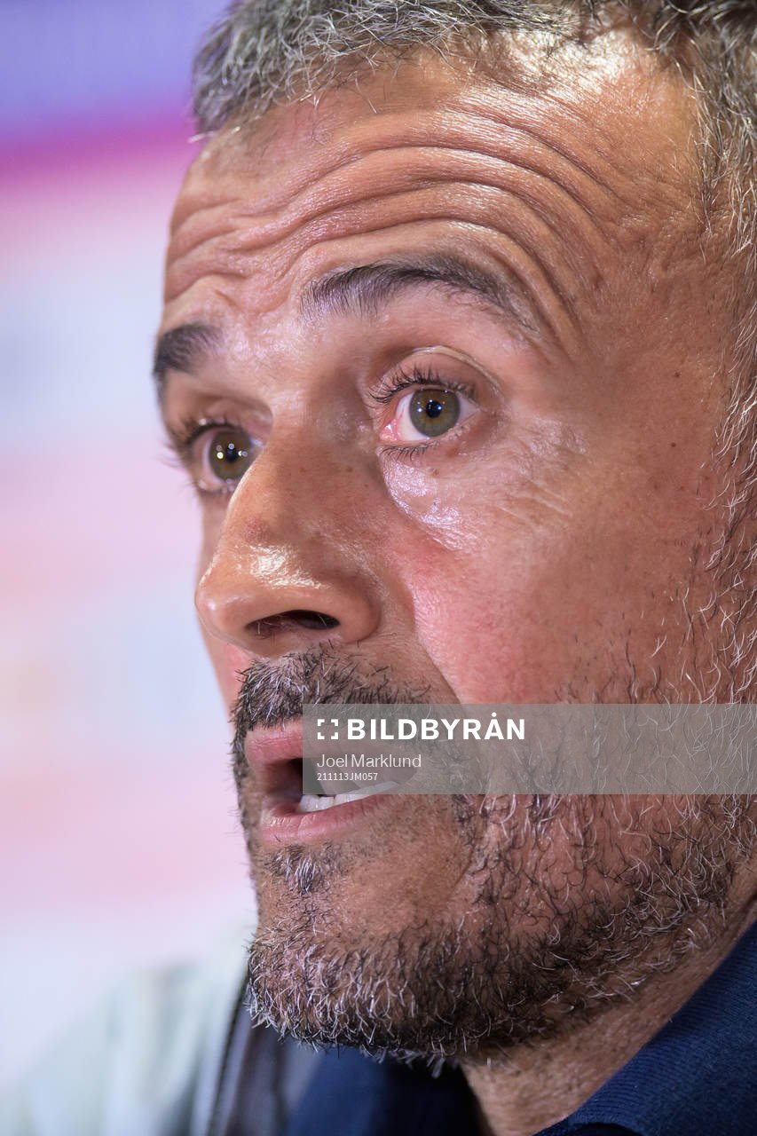 Head coach Luis Enrique of the Spanish national football