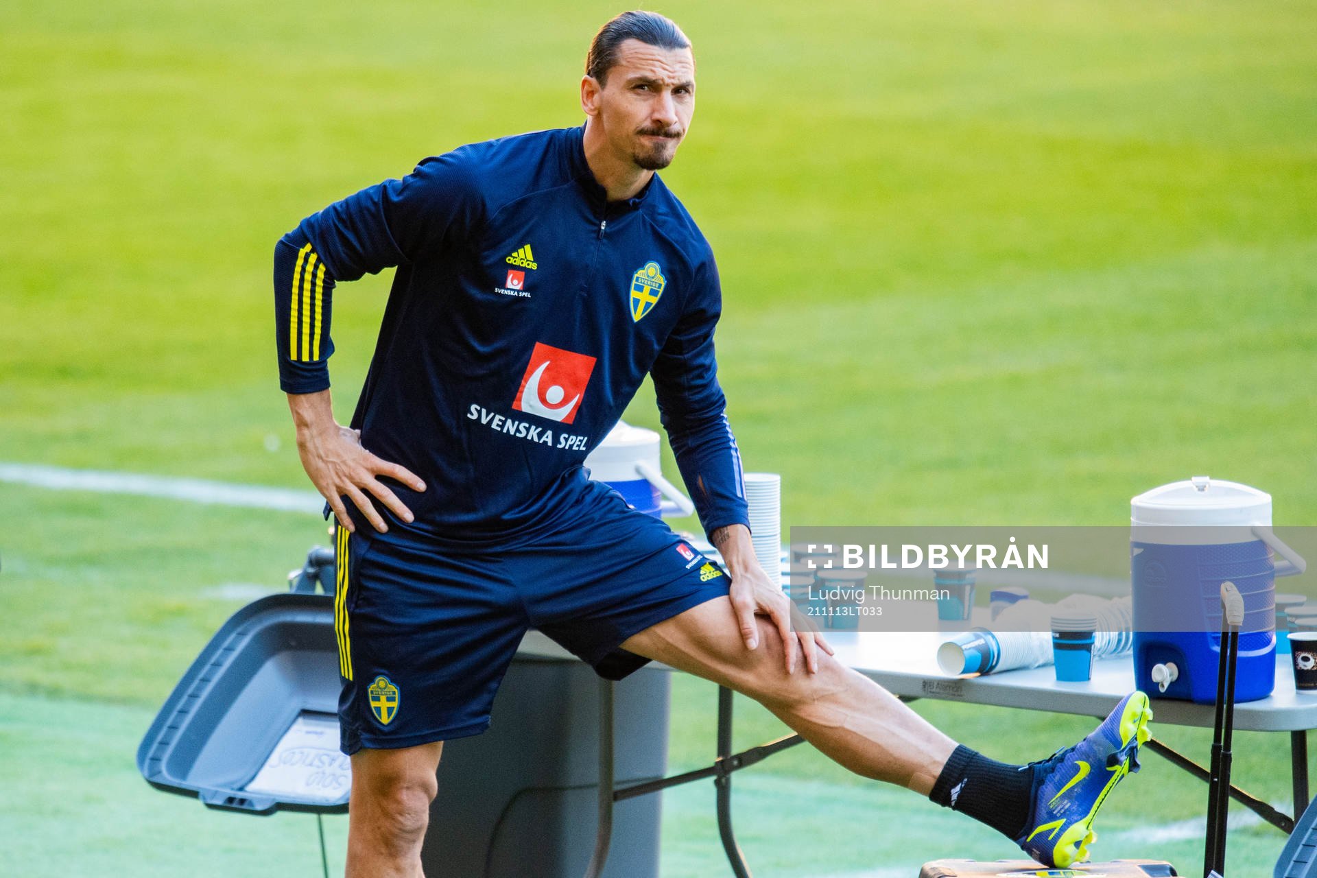 Zlatan Ibrahimovic of the Swedish national football team