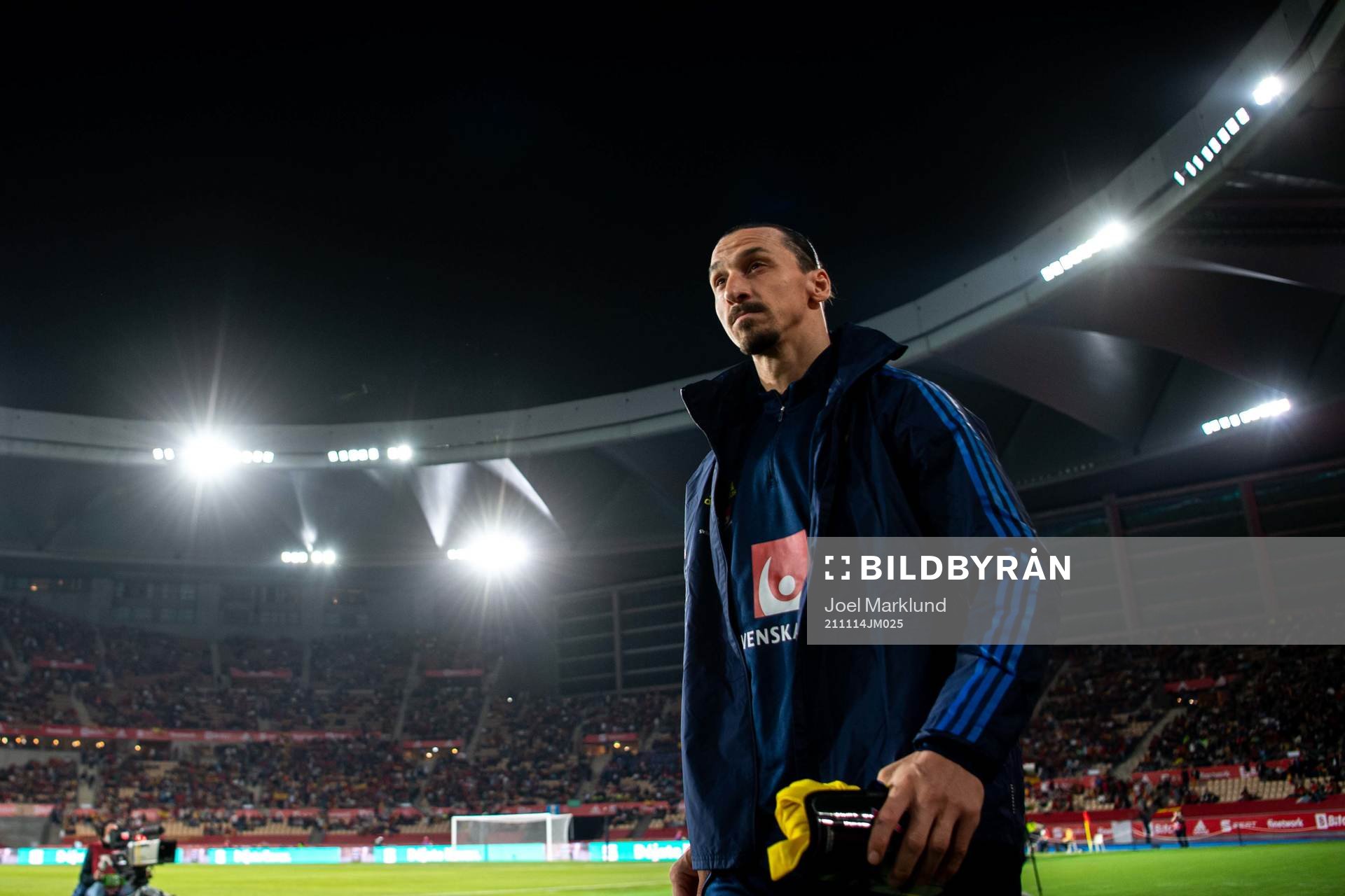 Zlatan Ibrahimovic of Sweden