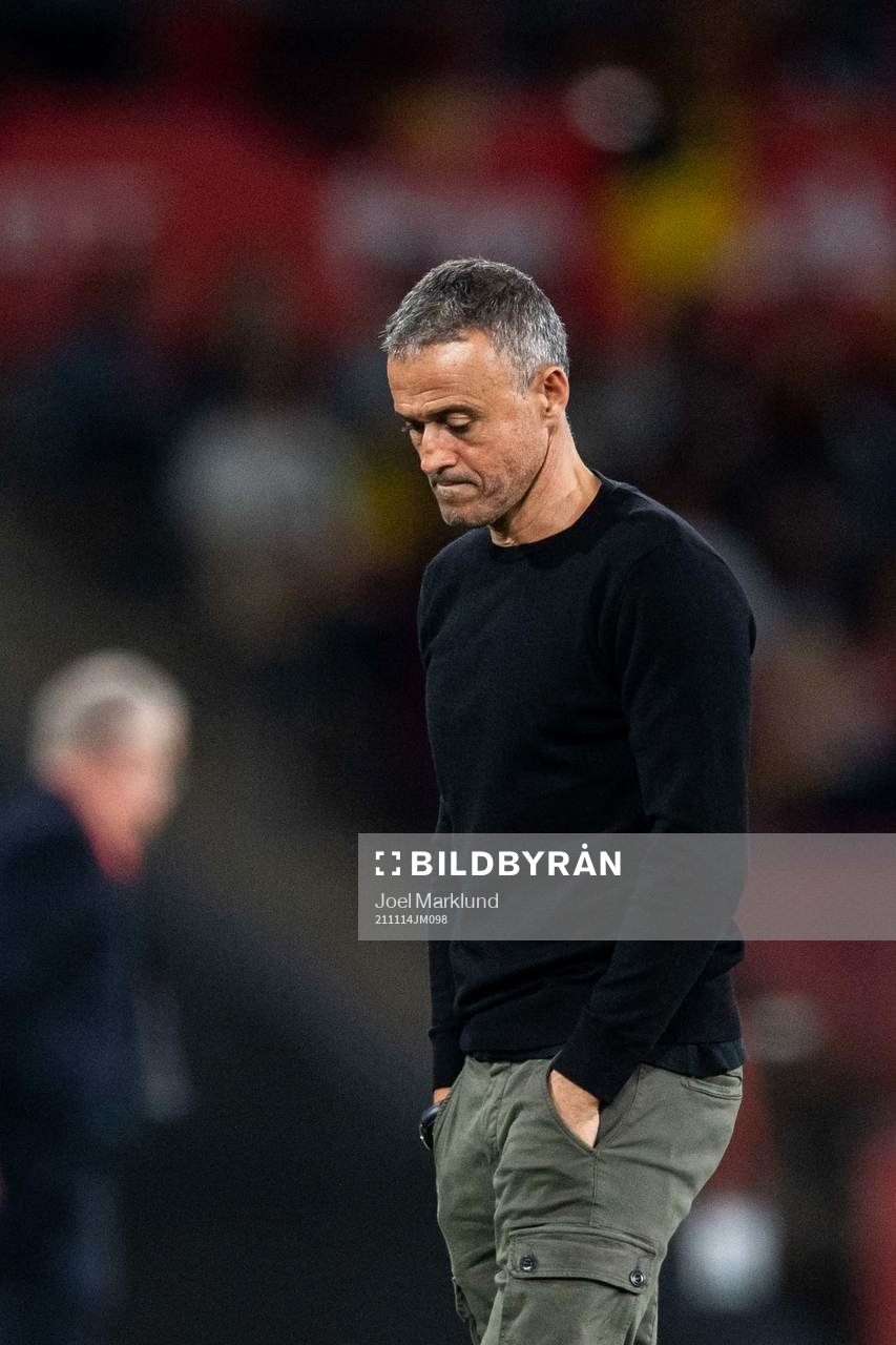 Head coach Luis Enrique of Spain