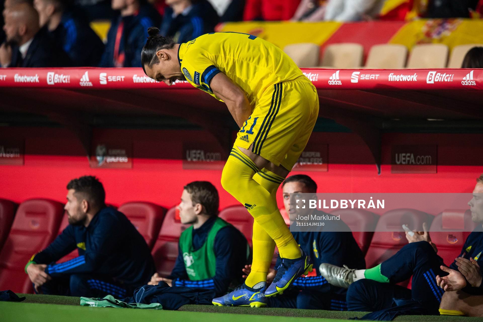 Zlatan Ibrahimovic of Sweden