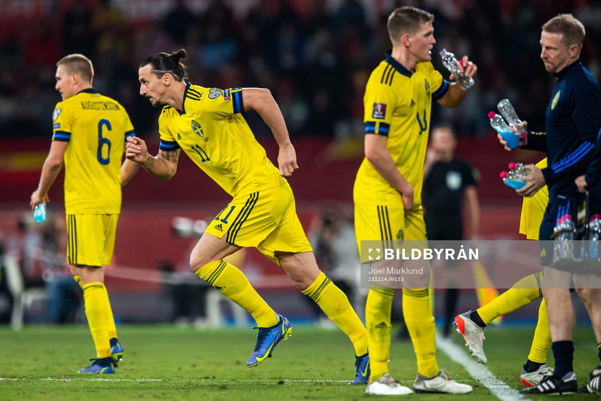 Zlatan Ibrahimovic of Sweden