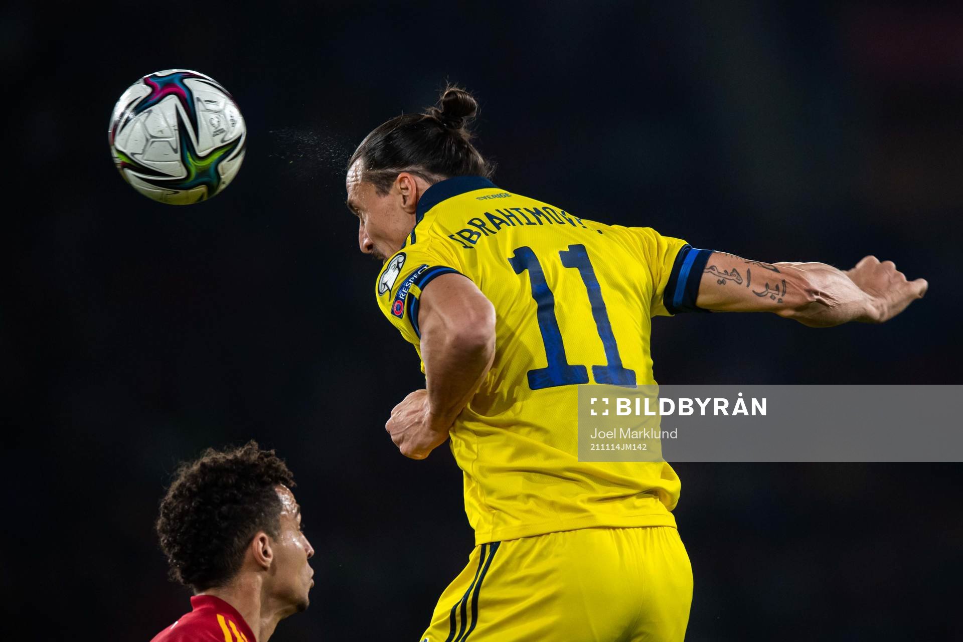 Zlatan Ibrahimovic of Sweden