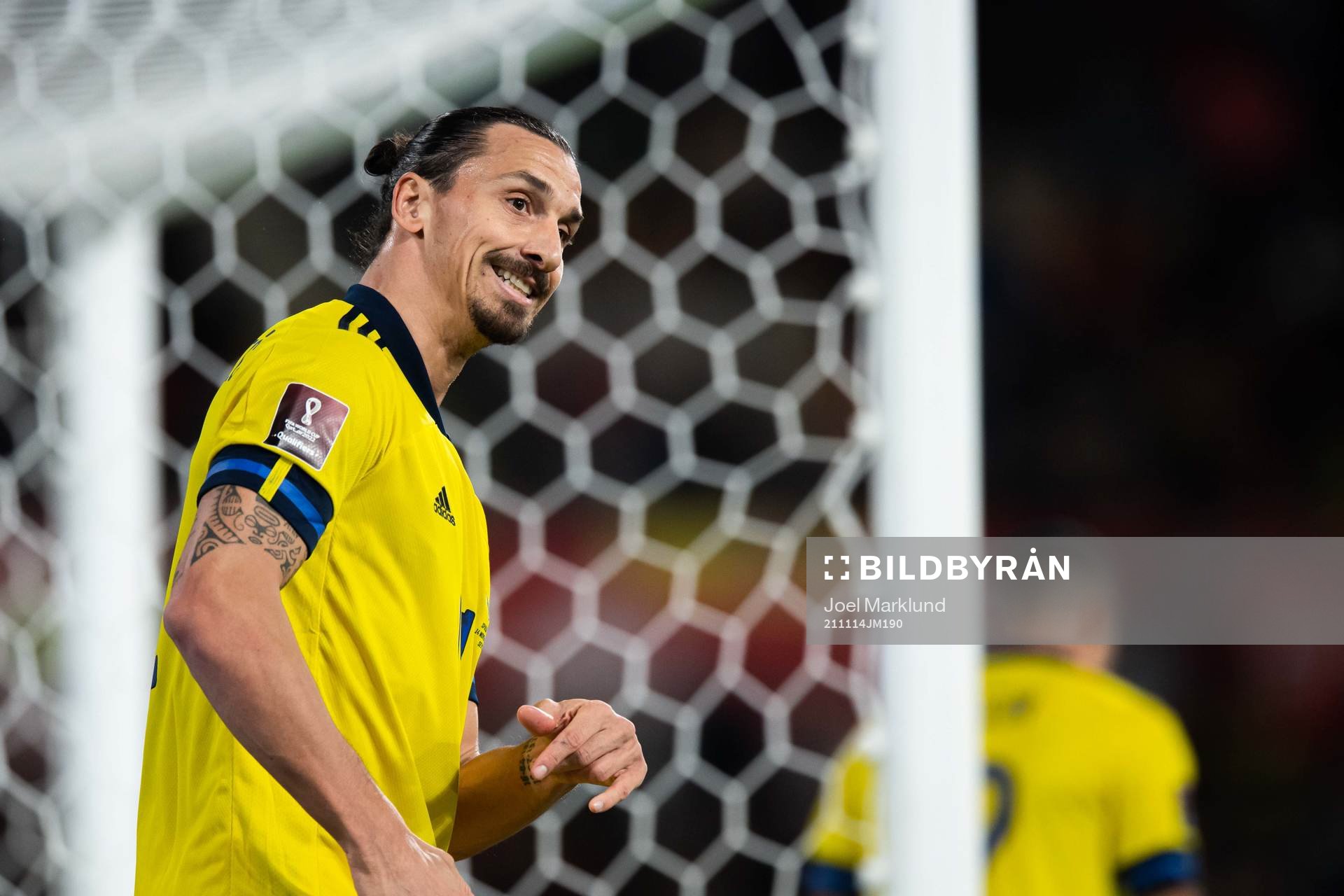 Zlatan Ibrahimovic of Sweden