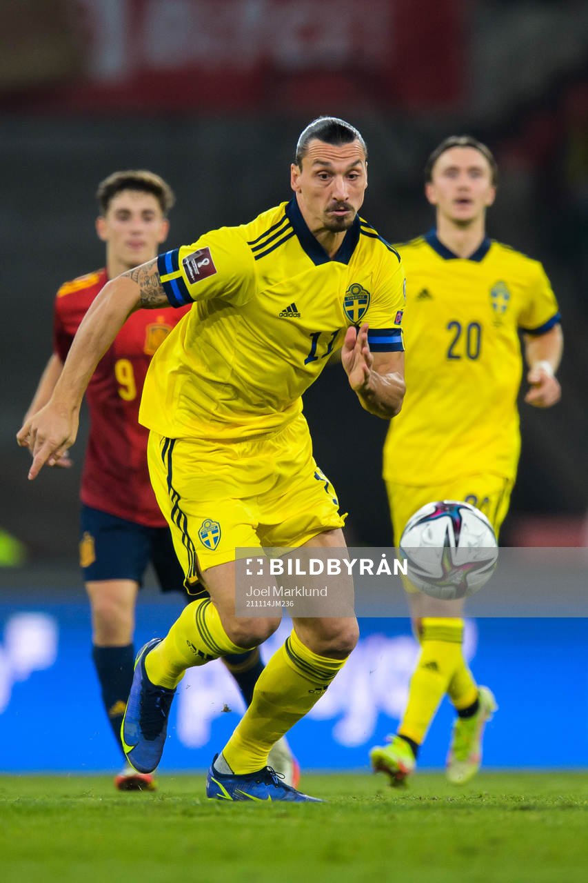 Zlatan Ibrahimovic of Sweden