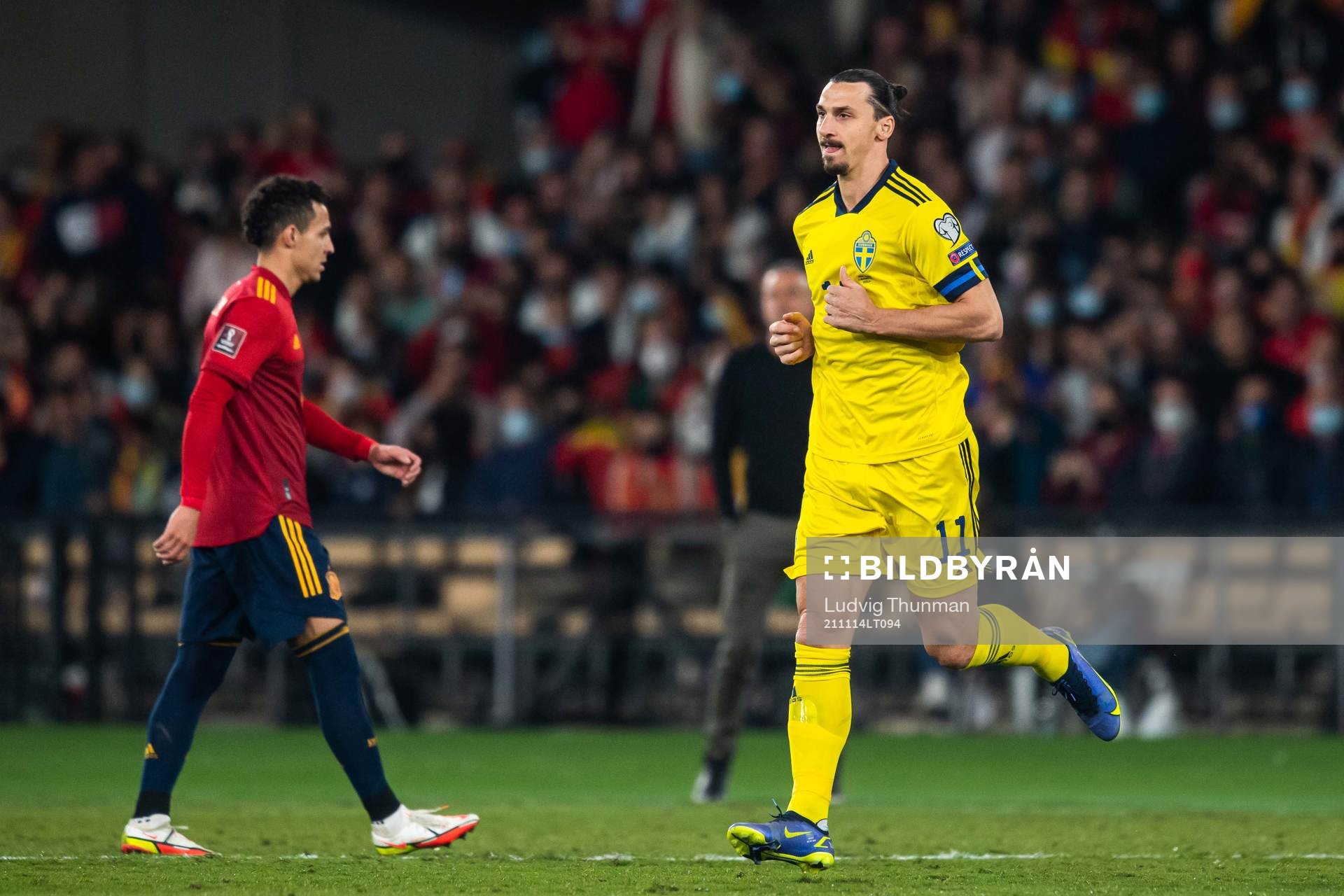 Zlatan Ibrahimovic of Sweden