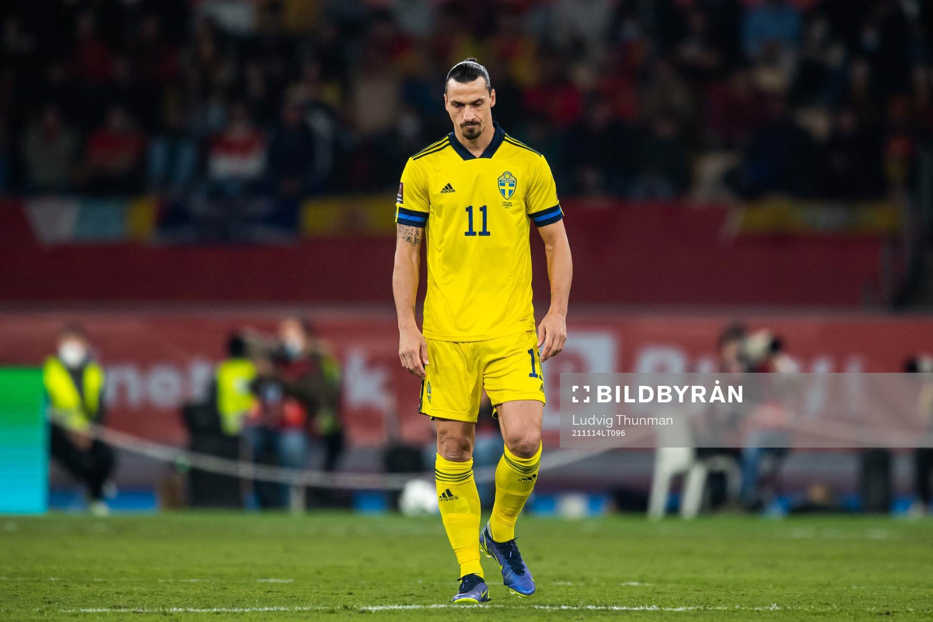Zlatan Ibrahimovic of Sweden