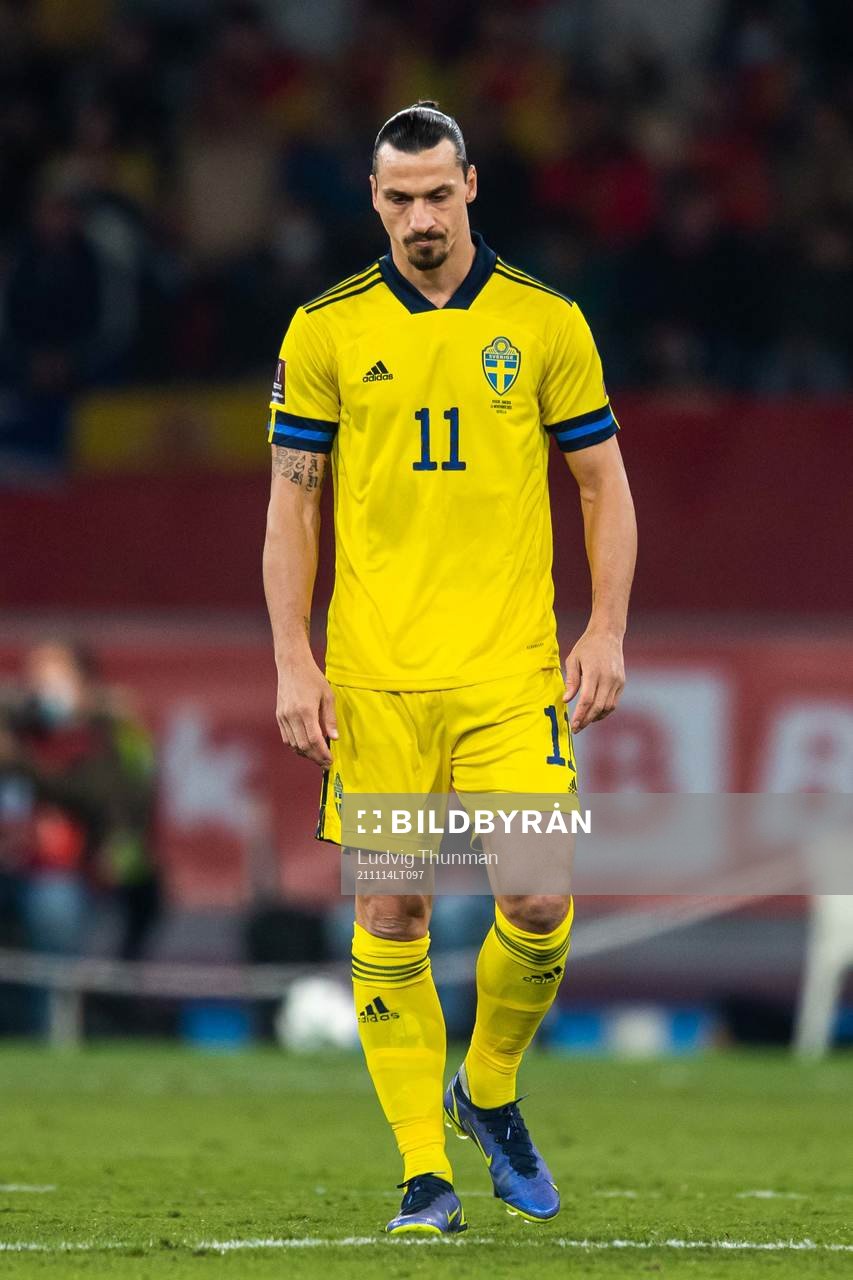 Zlatan Ibrahimovic of Sweden