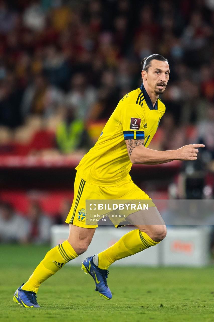 Zlatan Ibrahimovic of Sweden