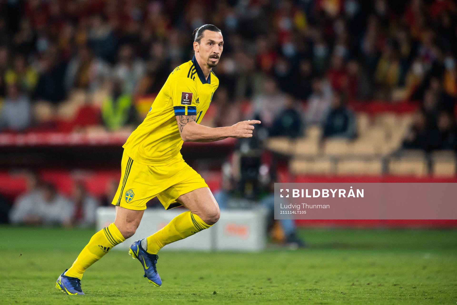 Zlatan Ibrahimovic of Sweden