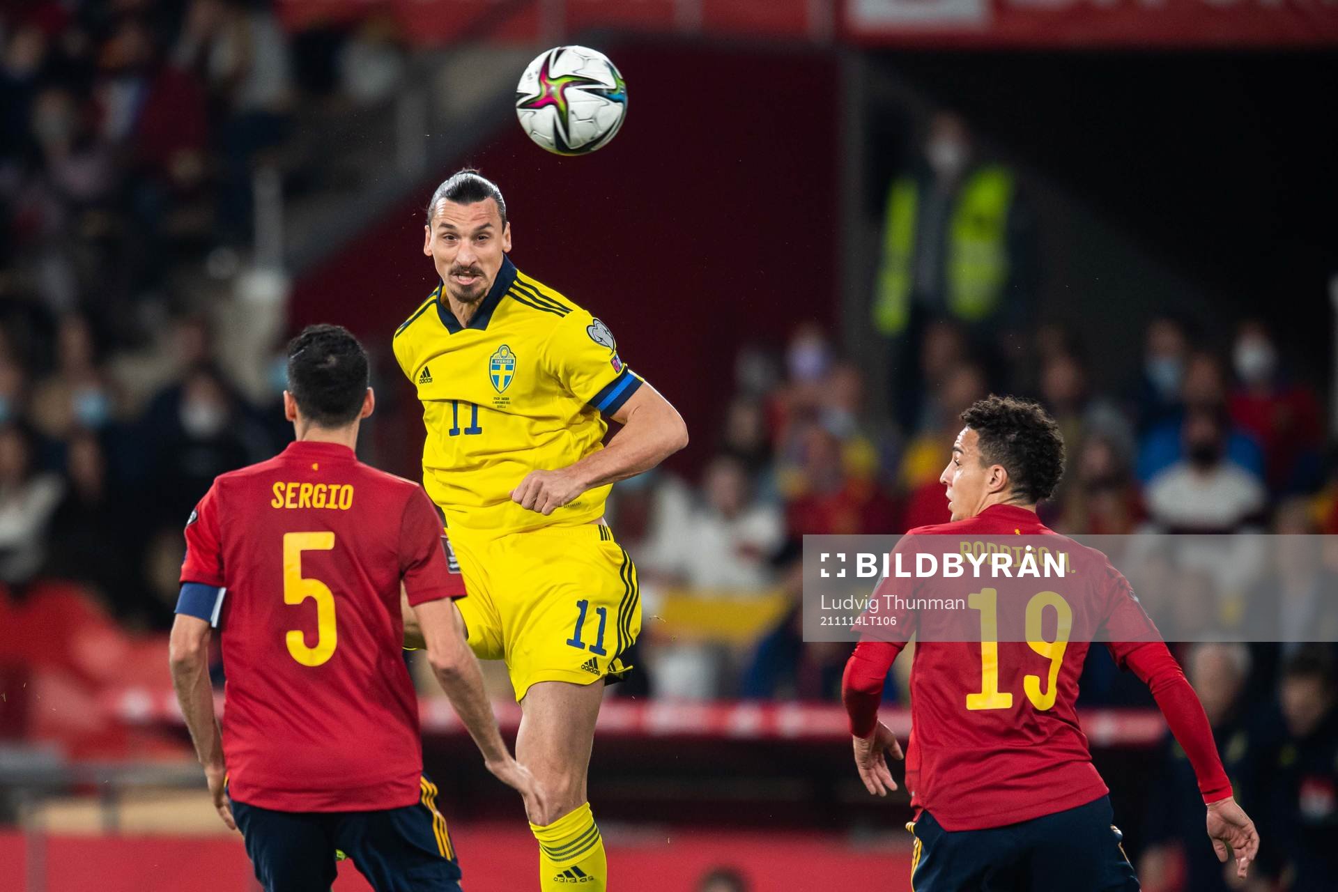 Zlatan Ibrahimovic of Sweden