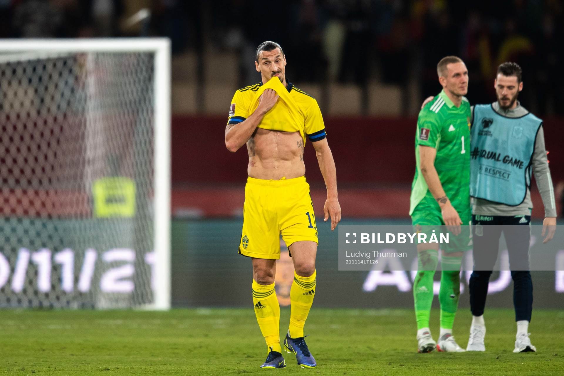 Zlatan Ibrahimovic of Sweden looks dejected