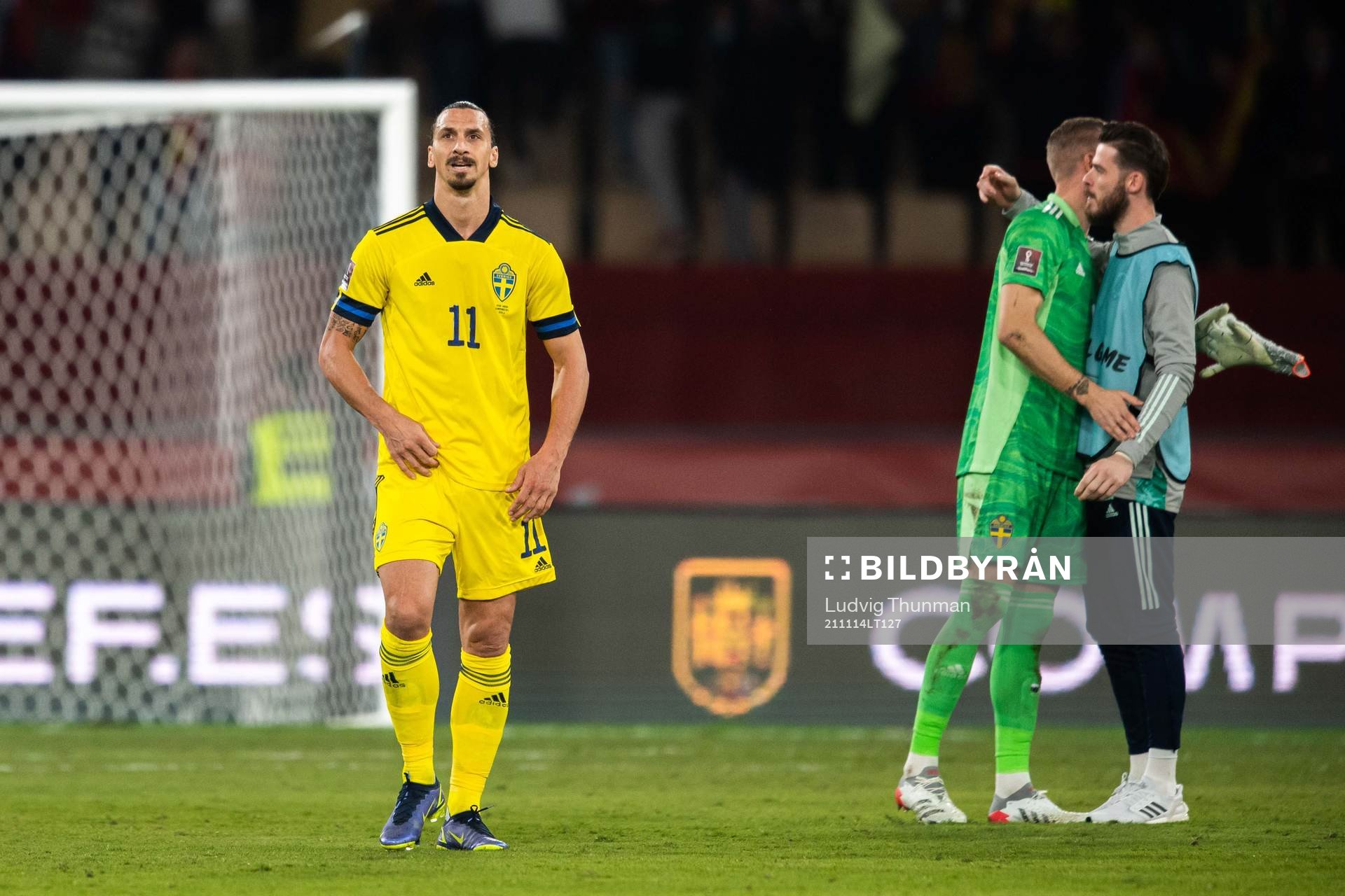 Zlatan Ibrahimovic of Sweden looks dejected