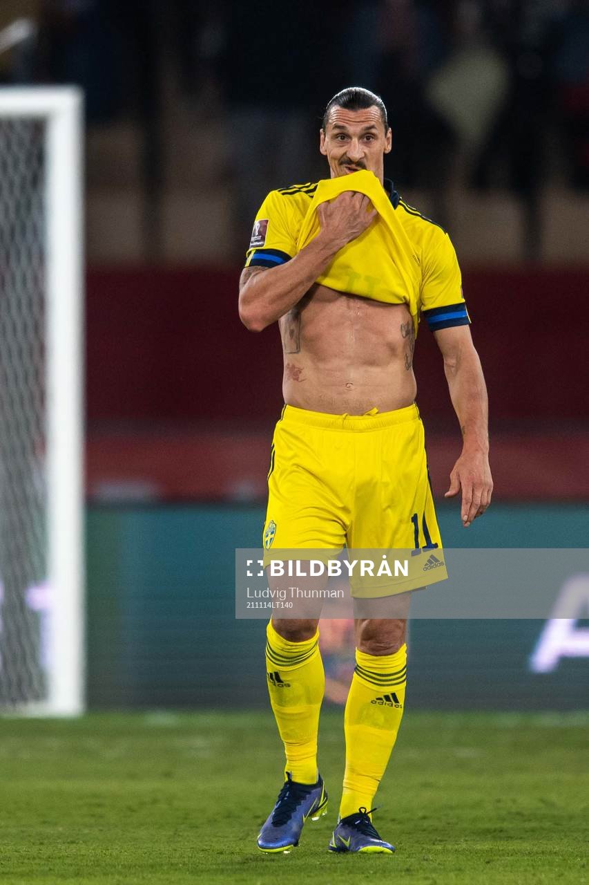 Zlatan Ibrahimovic of Sweden looks dejected