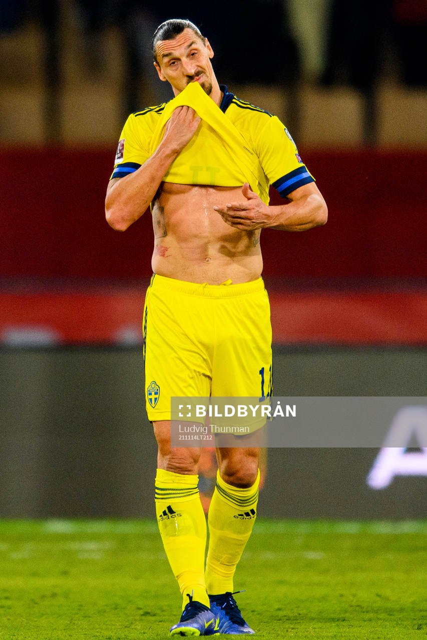 Zlatan Ibrahimovic of Sweden looks dejected