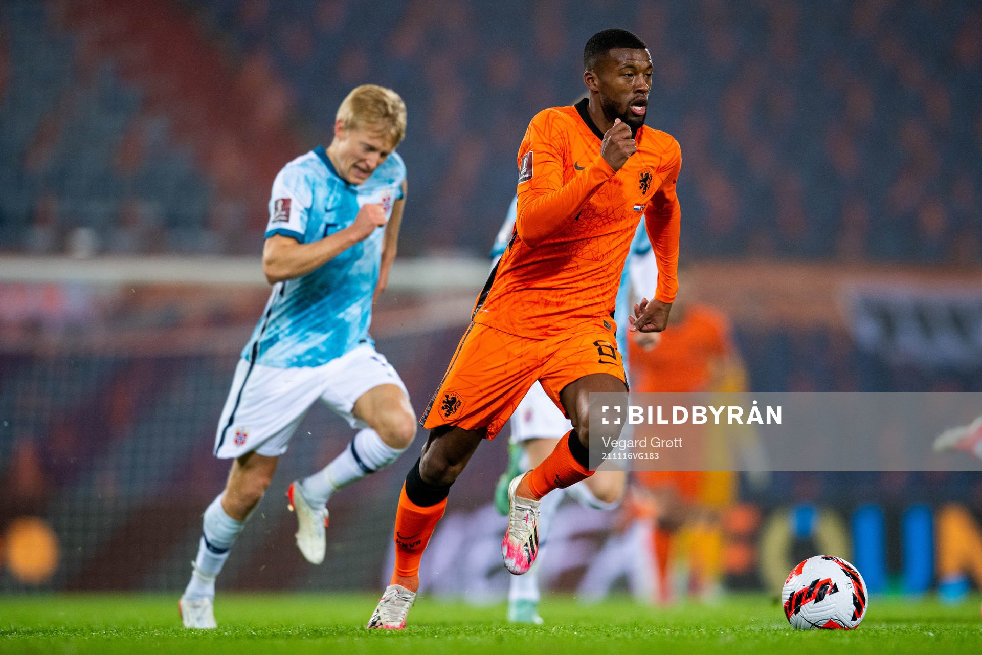 Georginio Wijnaldum of Netherlands