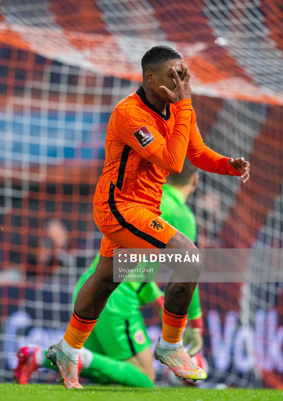 Steven Bergwijn of Netherlands celebrates