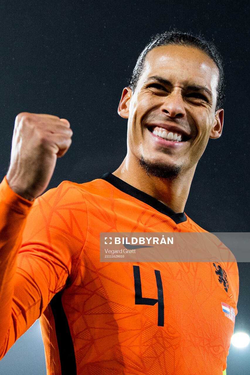 Virgil van Dijk of Netherlands celebrates