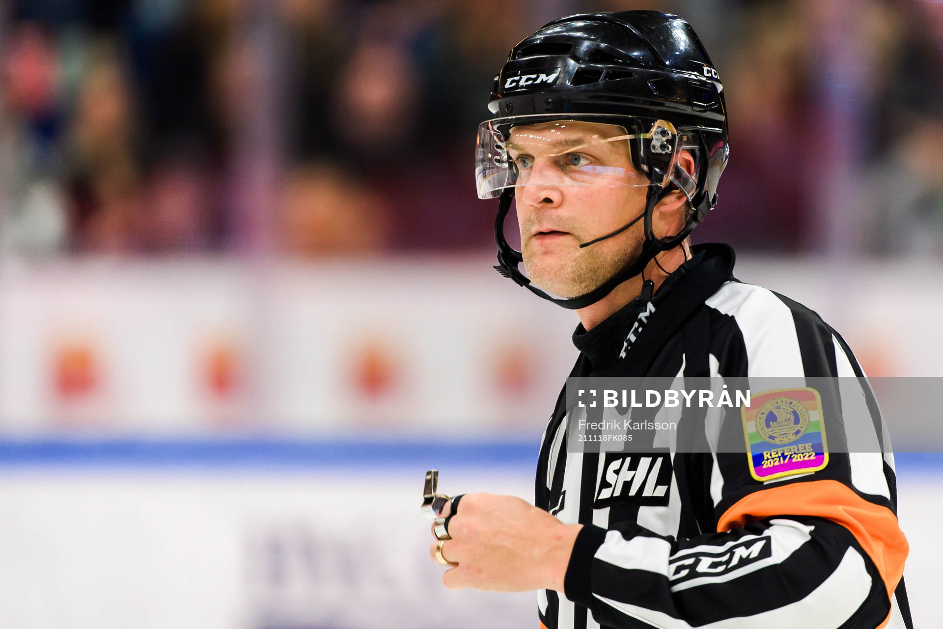 Domare Mikael Nord