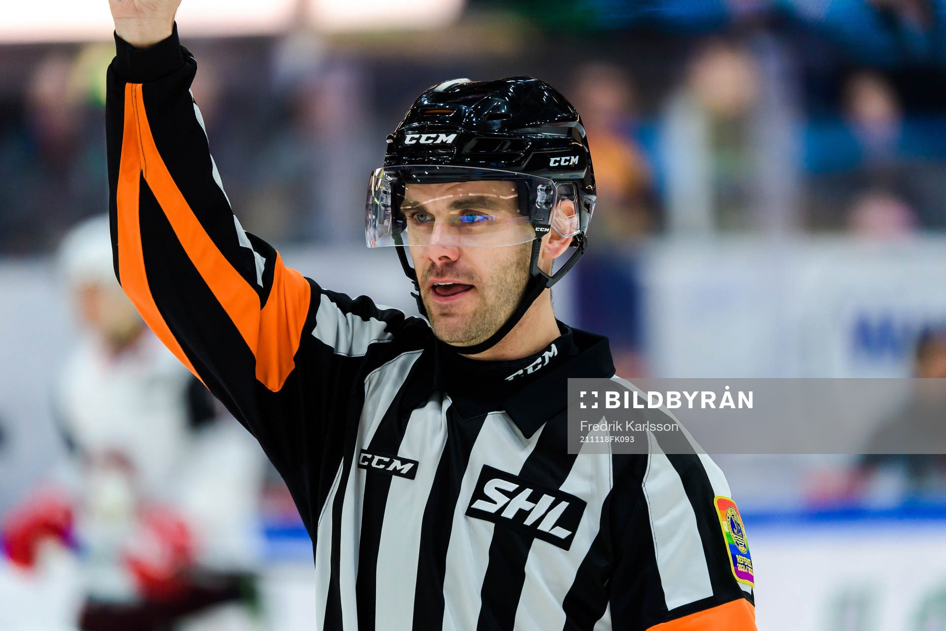 Domare Richard Magnusson