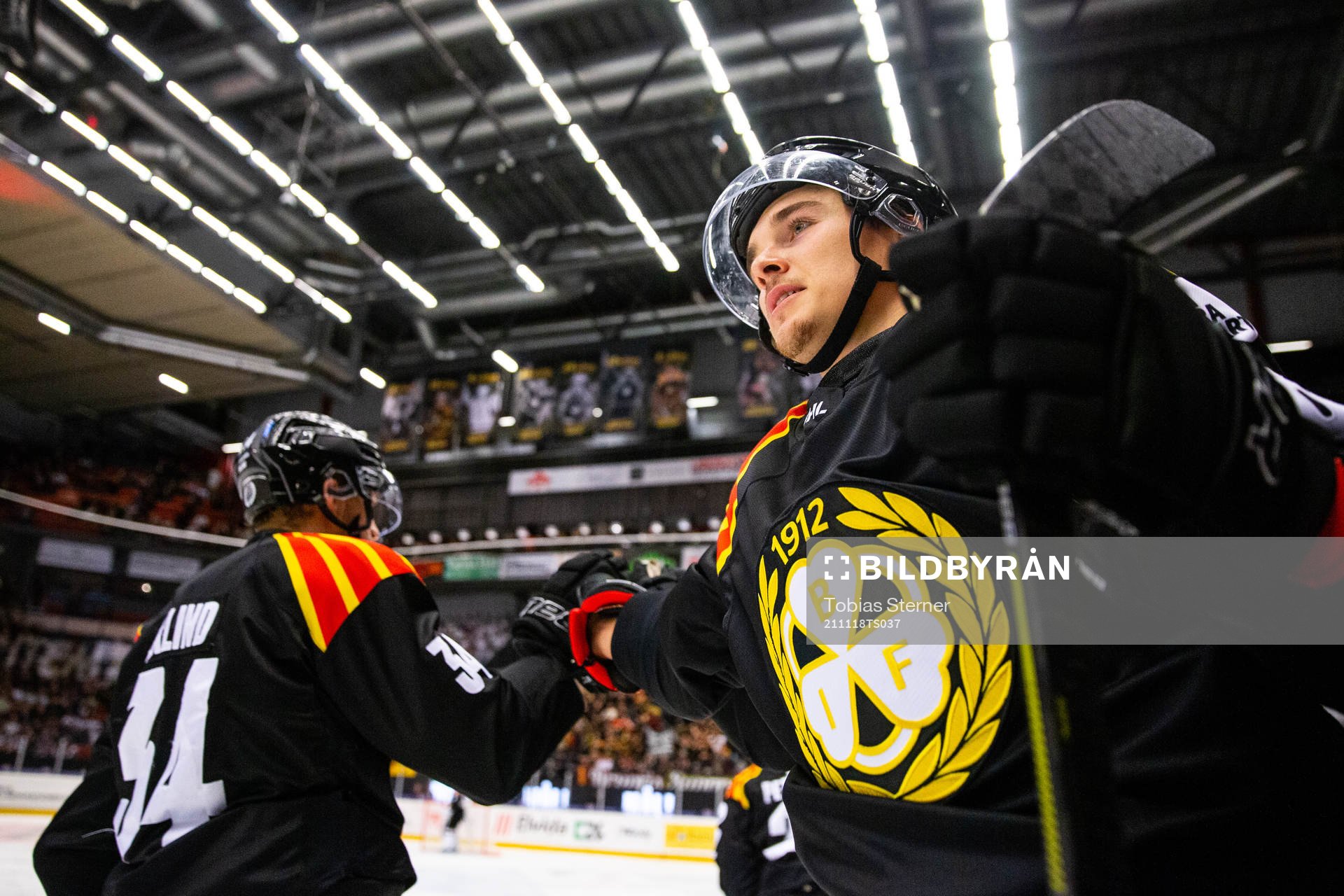 Brynäs Dmytro Timashov jublar