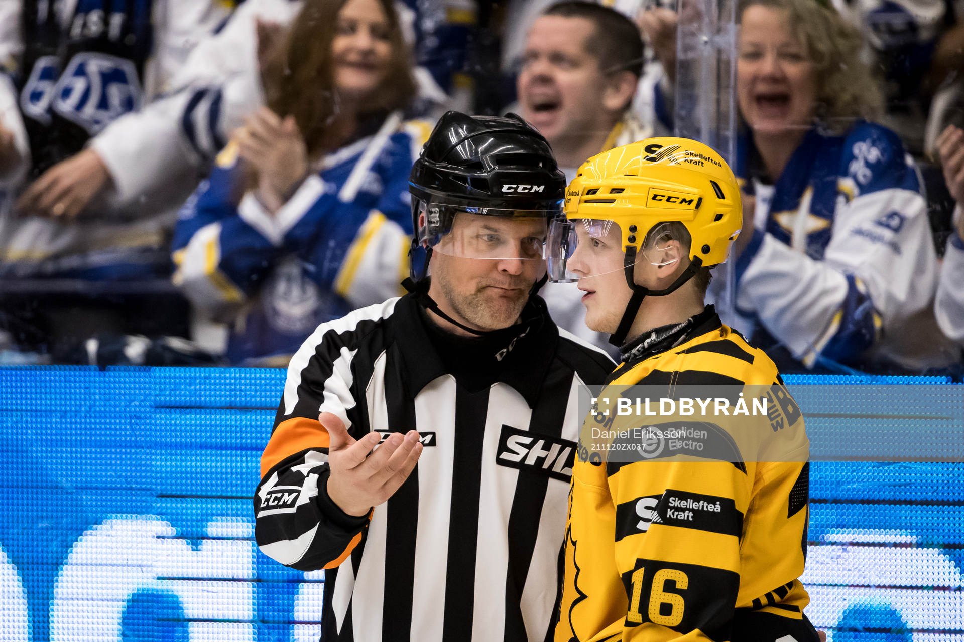 Domare Mikael Nord och Skellefteås Linus Lindström