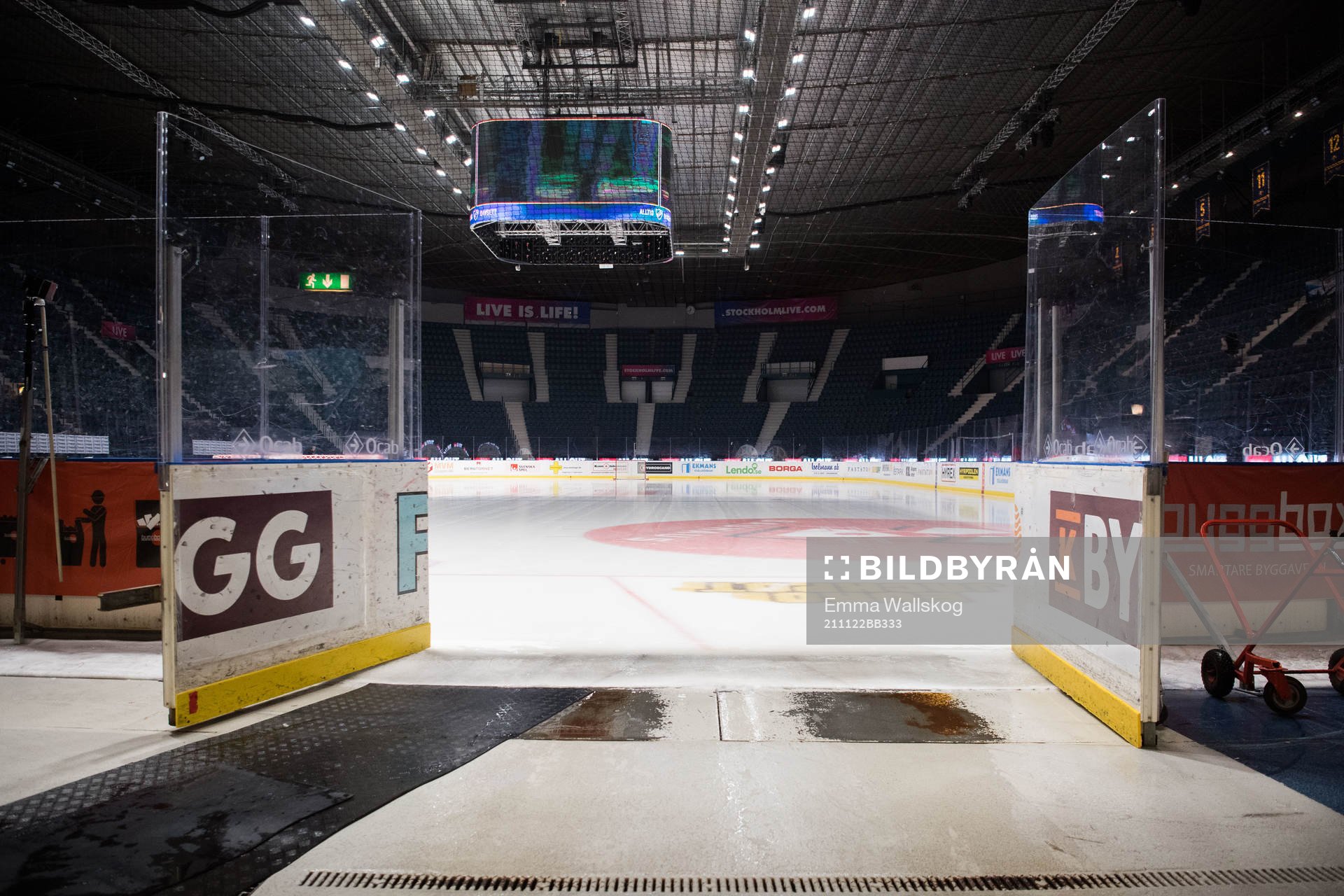 Hovet