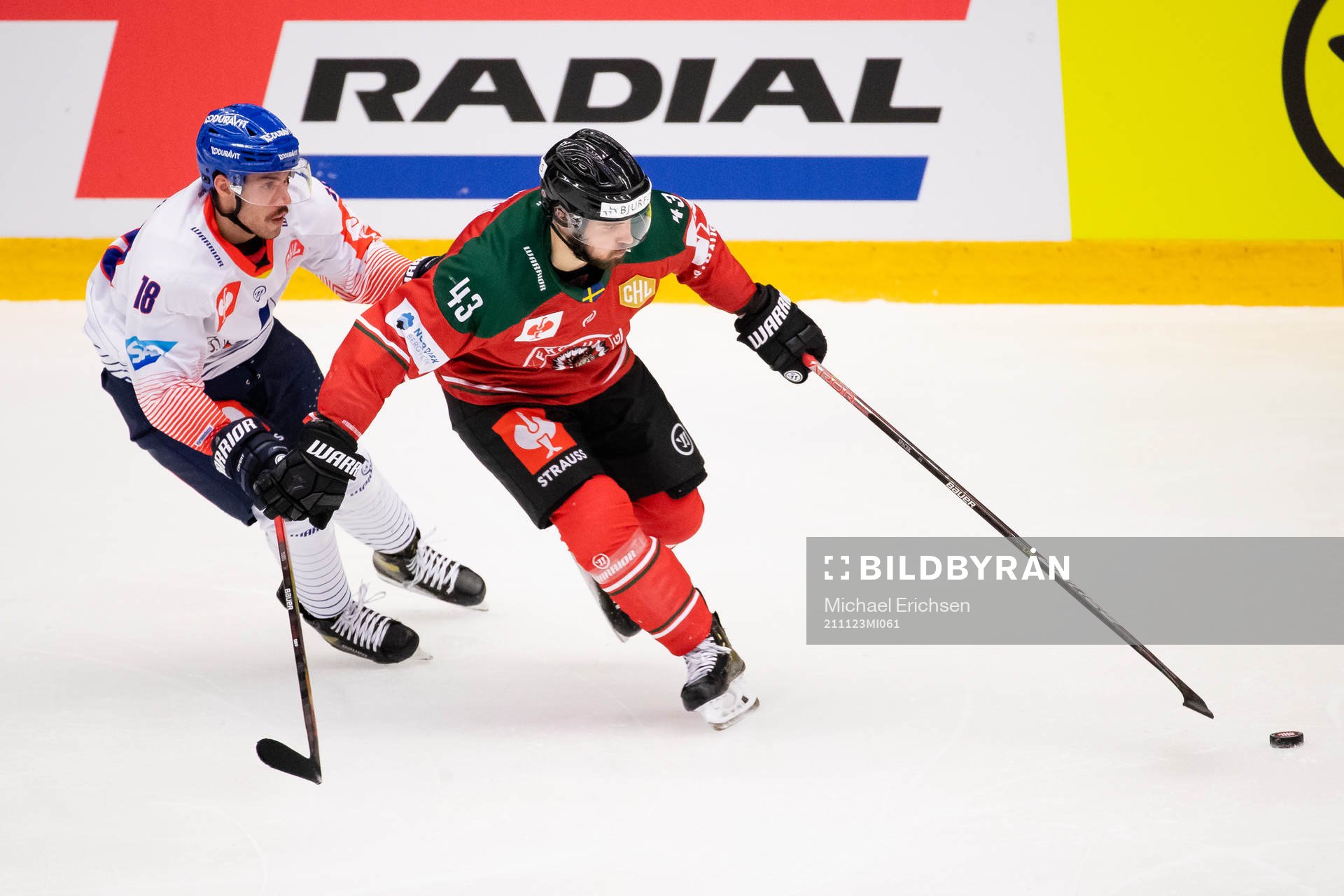 Luca Tosto of Adler Mannheim and Michael Spacek of Frölunda
