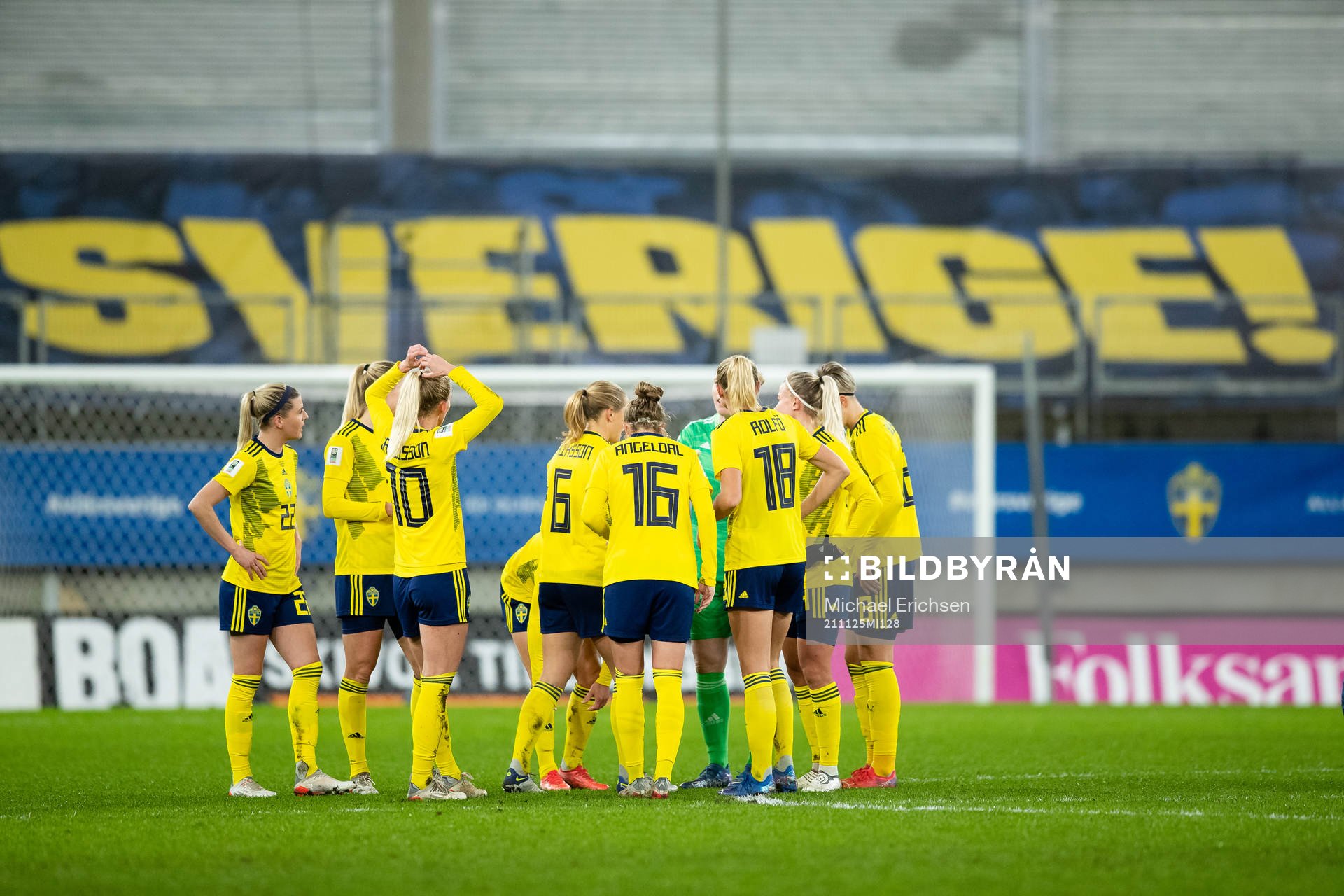 Players of Sweden gathered