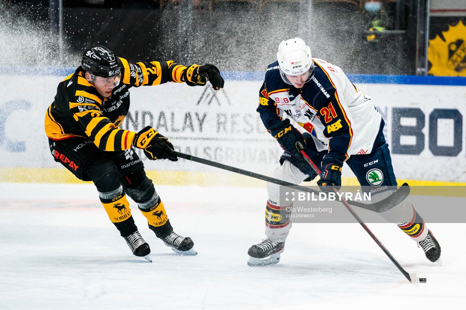Skellefteås Adam Wilsby och Djurgårdens Filip Cederqvist